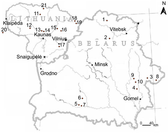 Fossstud 02 00007 g002