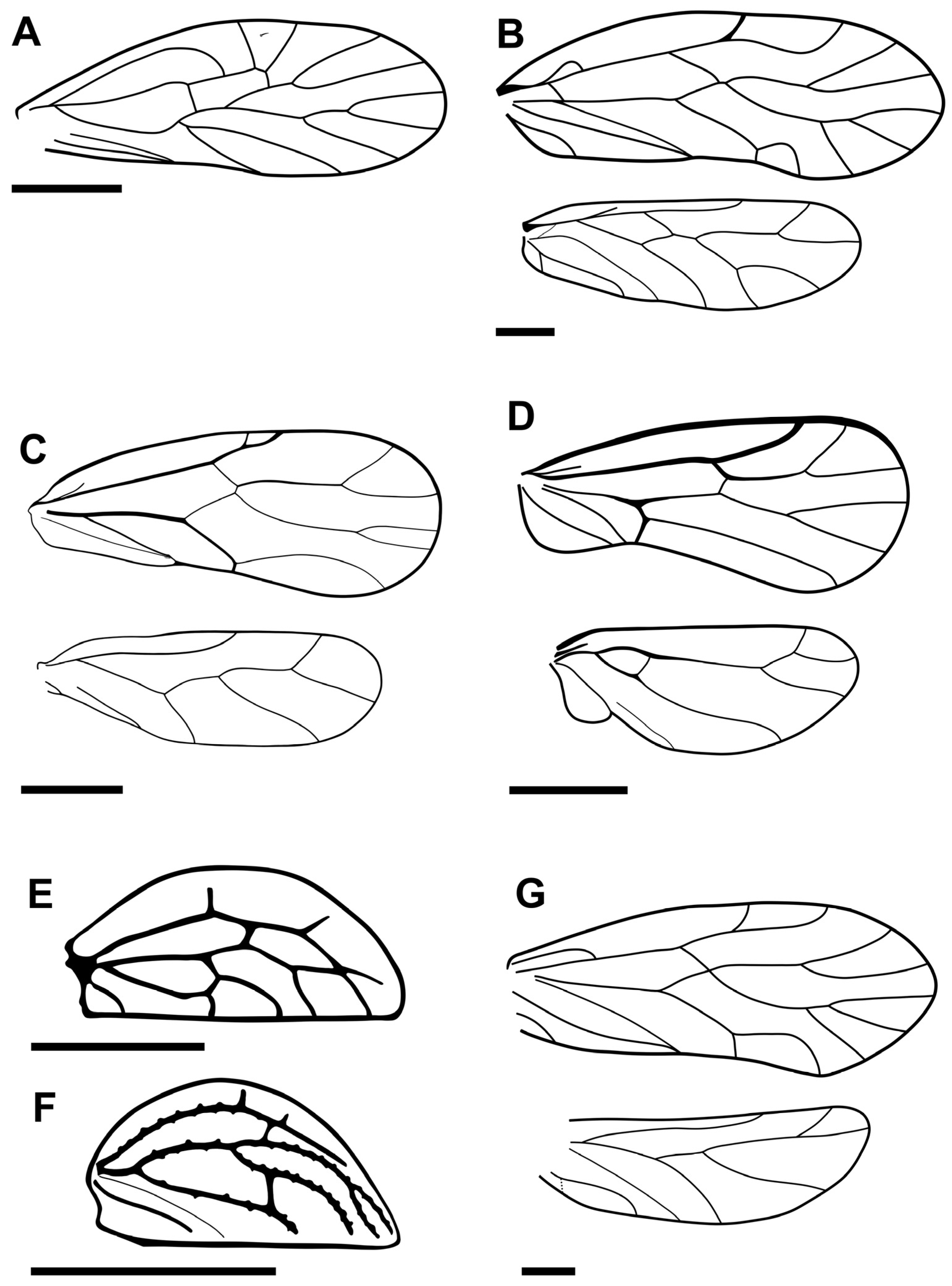 Fossstud 02 00008 g003