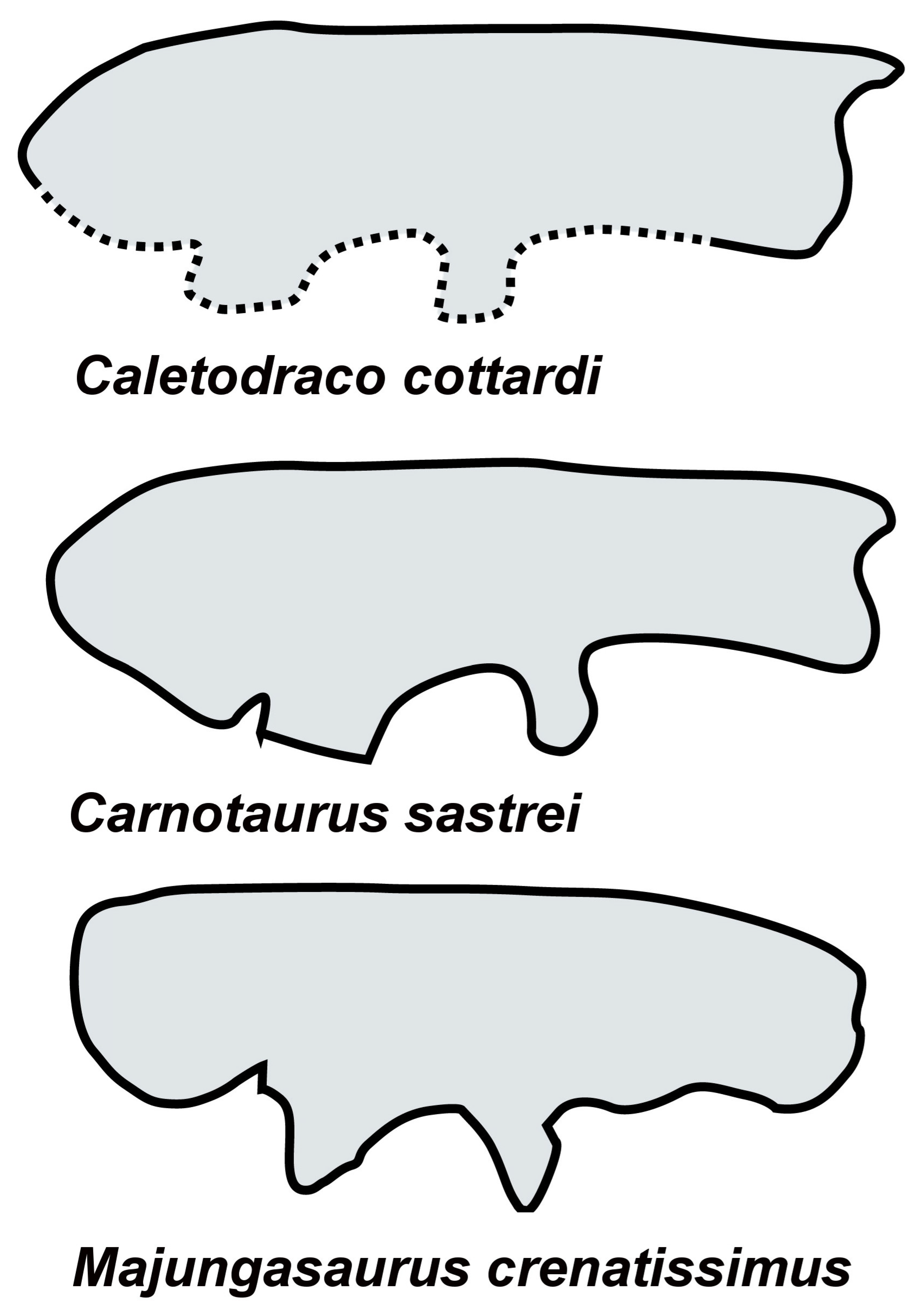 Fossstud 02 00009 g012