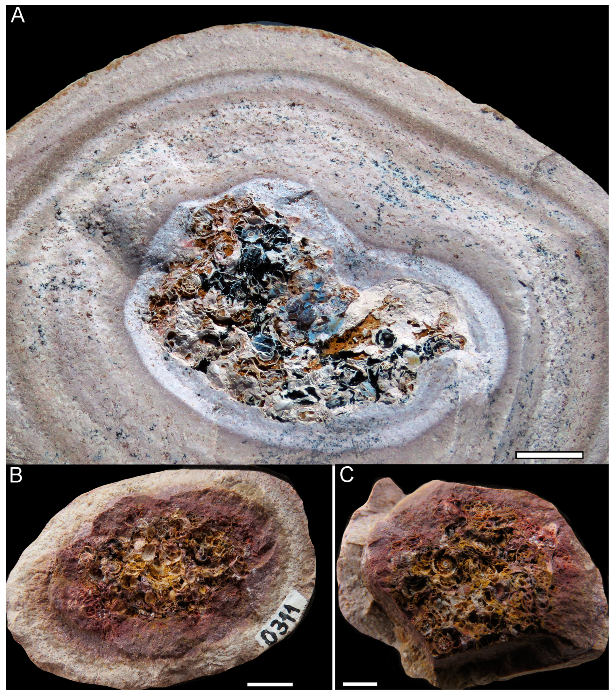 Fossstud 02 00011 g003