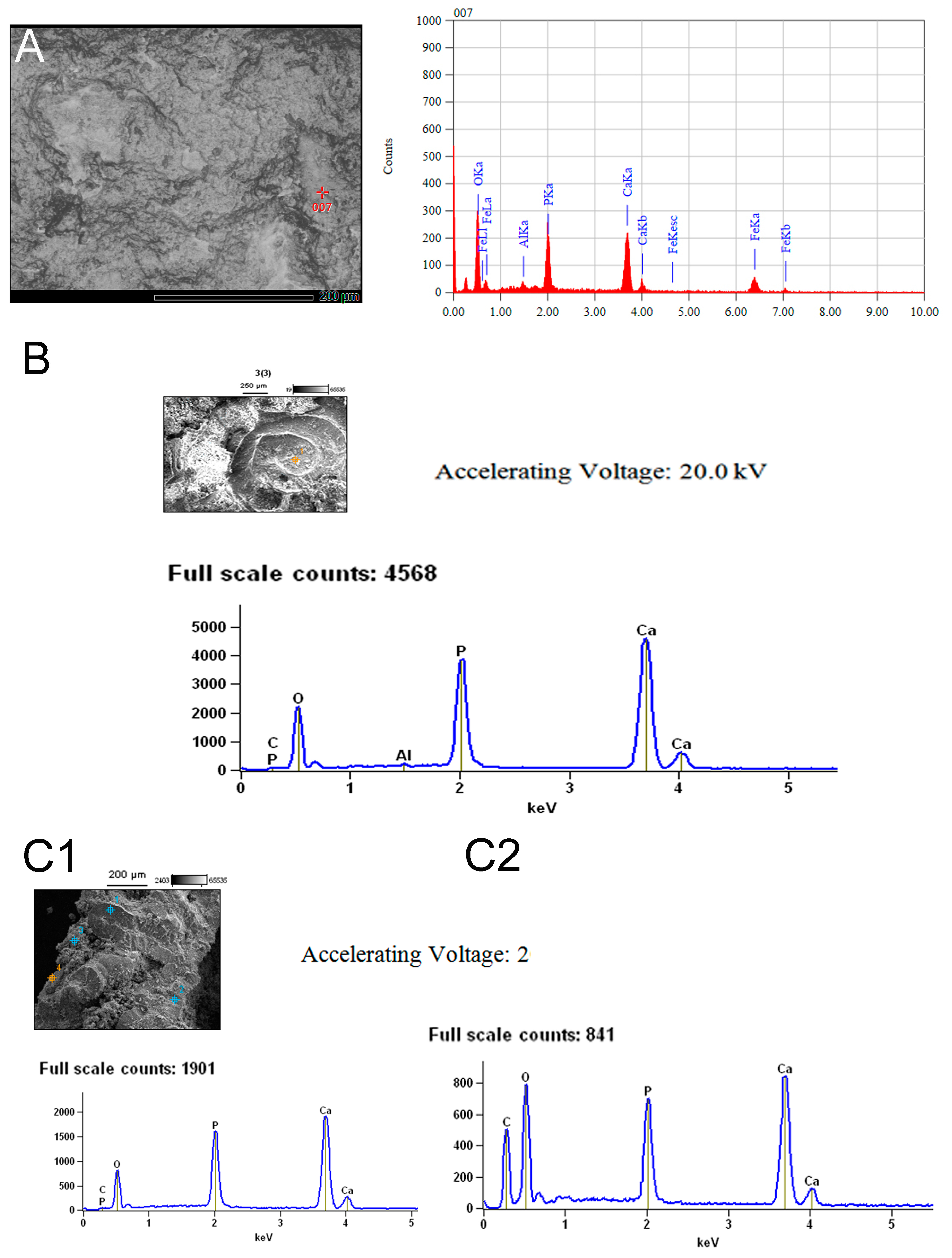 Fossstud 02 00011 g006