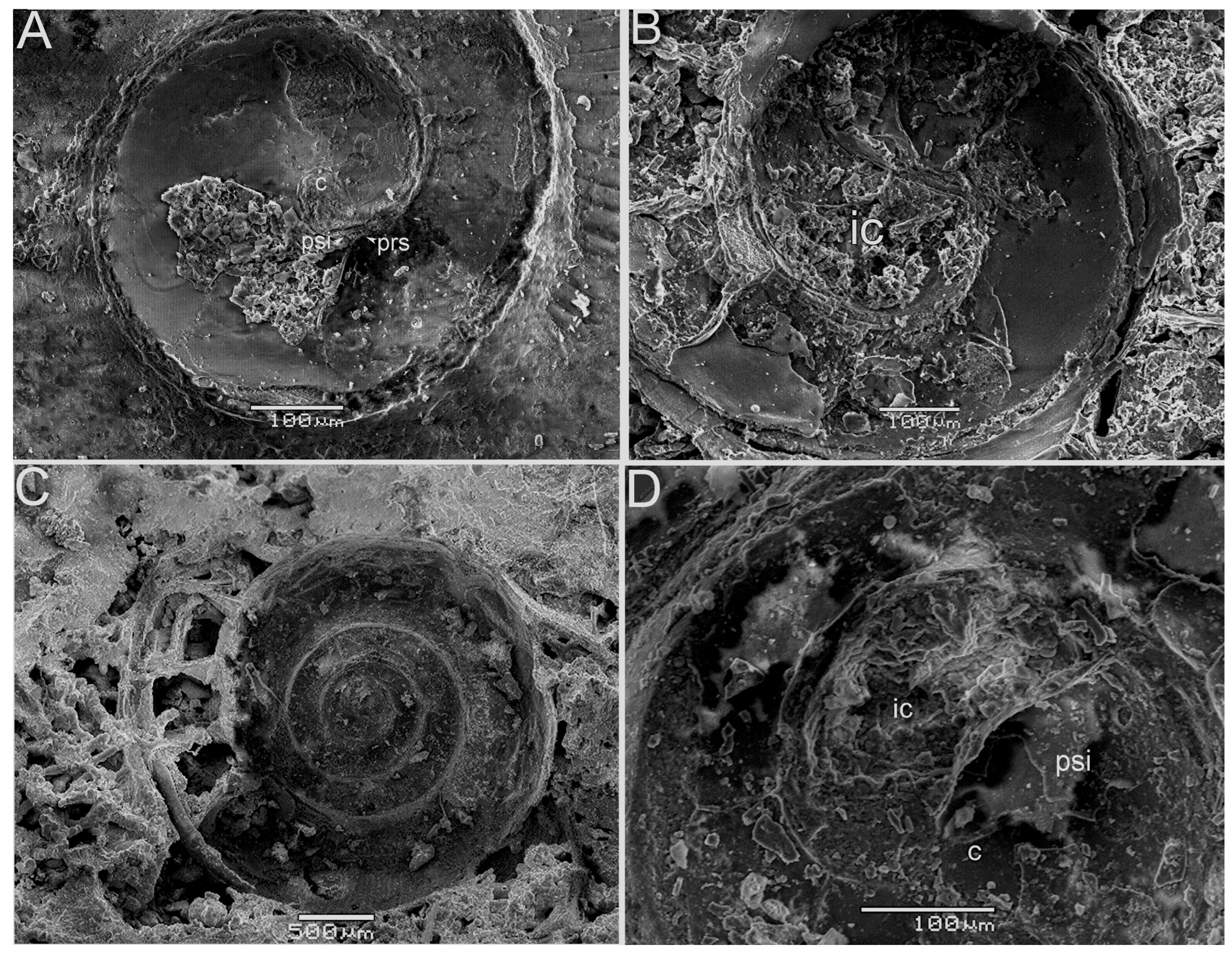 Fossstud 02 00011 g007