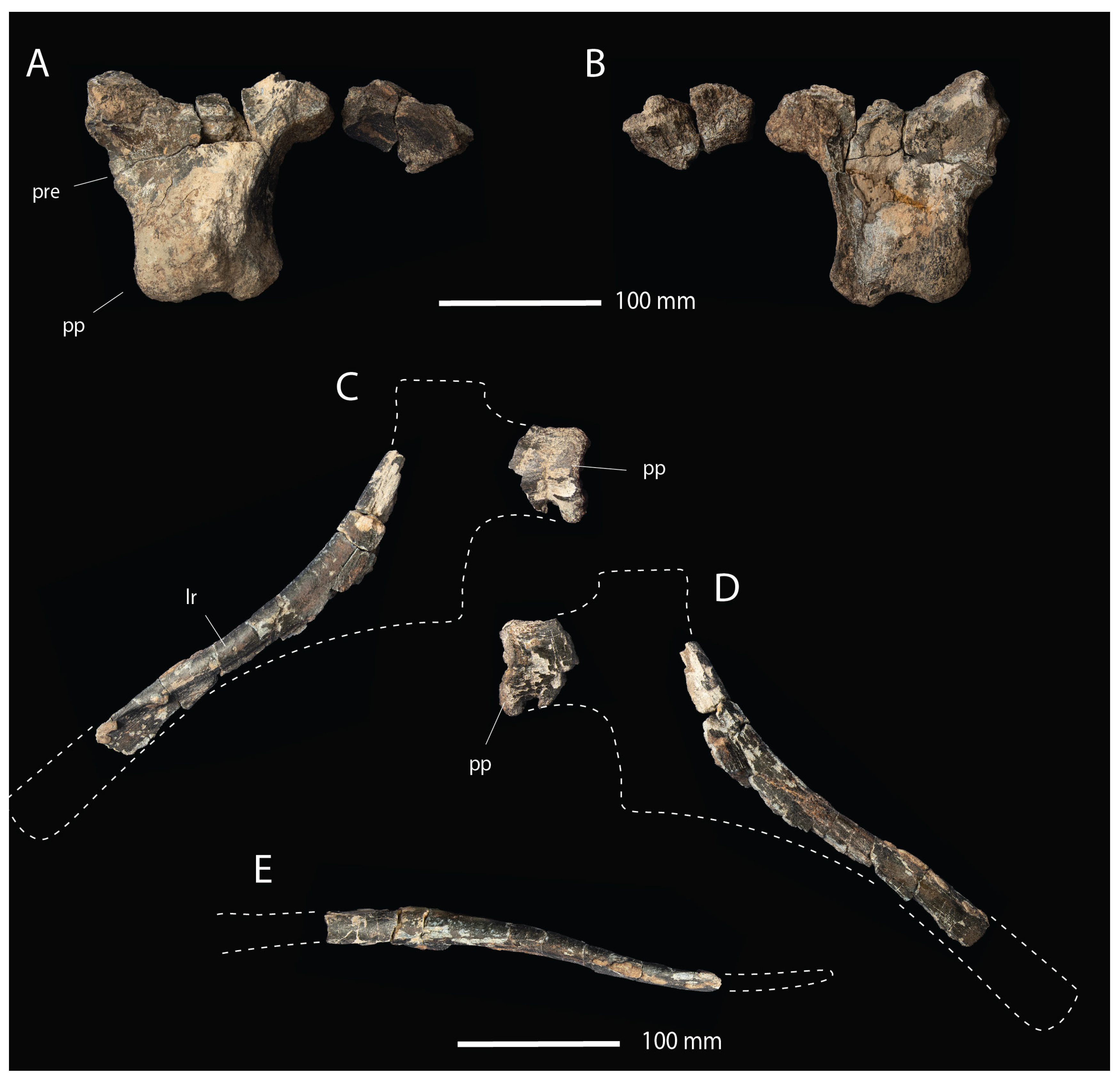 Fossstud 02 00012 g006 Fossstud 02 00012 g006