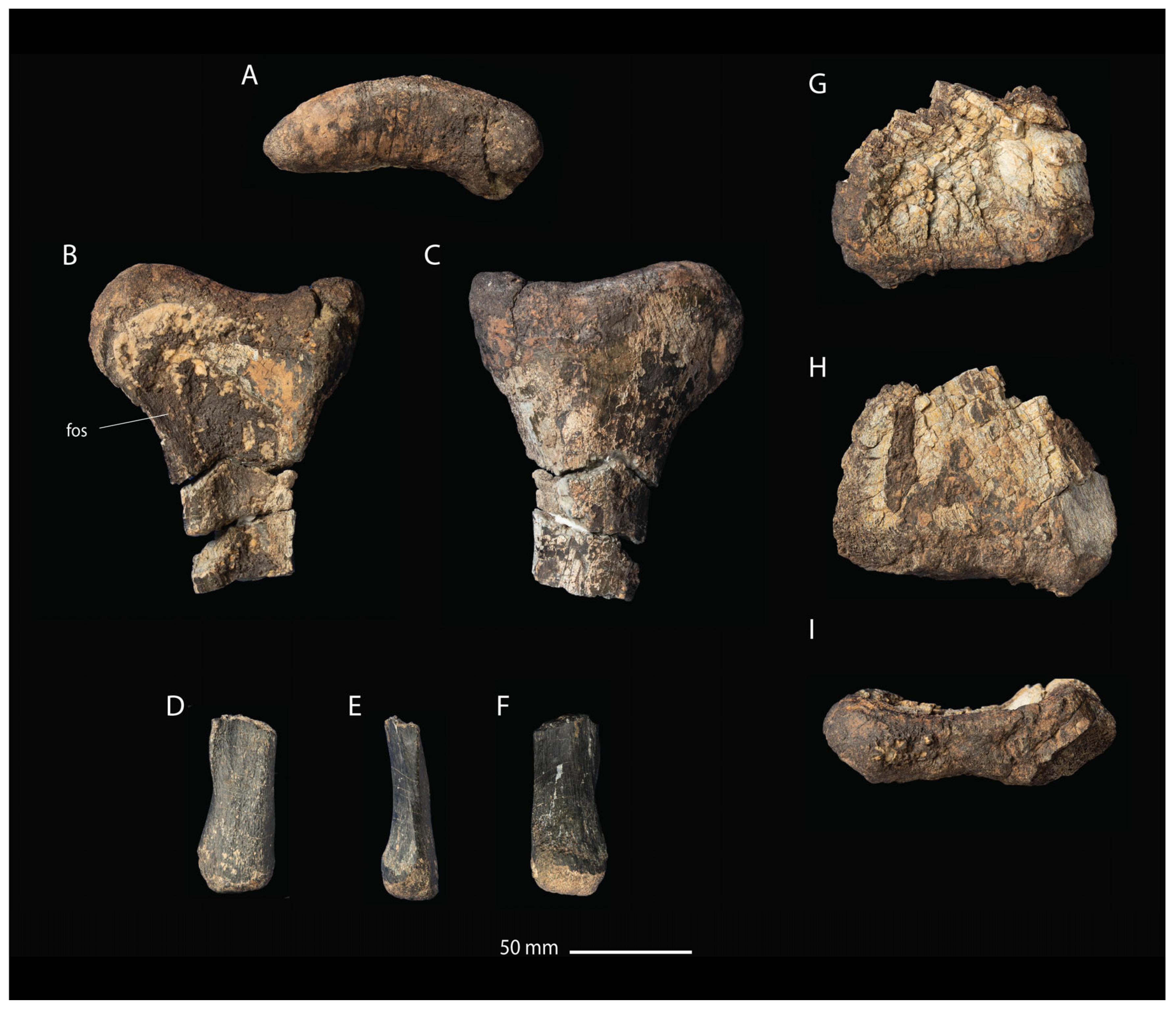 Fossstud 02 00012 g008 Fossstud 02 00012 g008