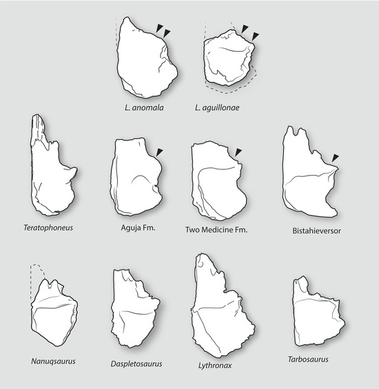 Fossstud 02 00012 g013