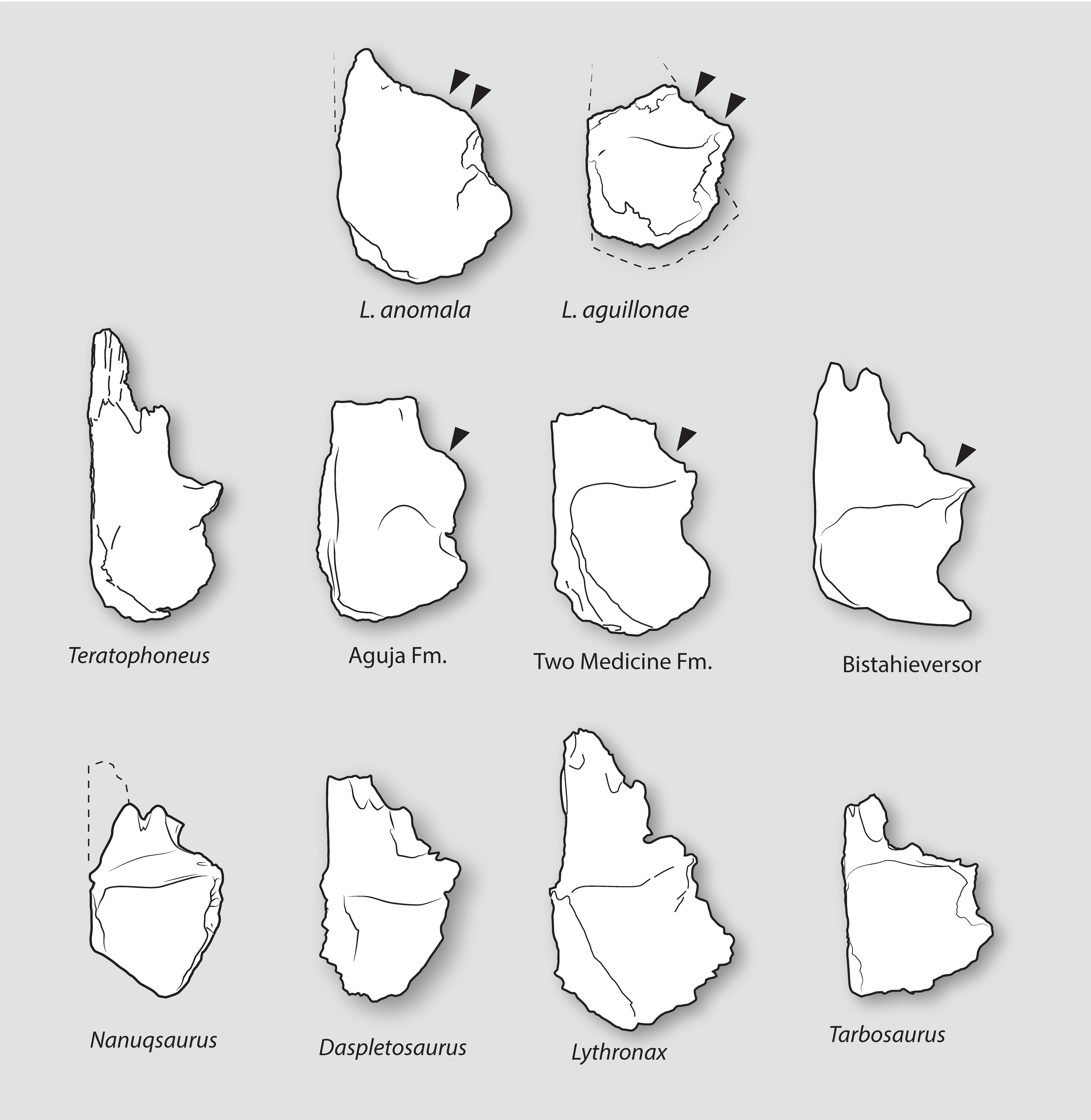Fossstud 02 00012 g013 Fossstud 02 00012 g013