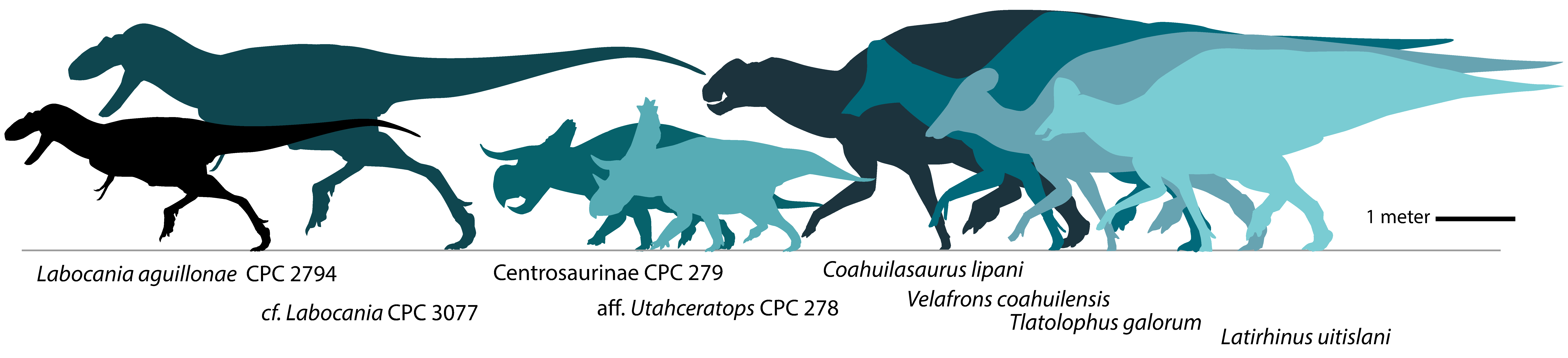 Fossstud 02 00012 g014 Fossstud 02 00012 g014