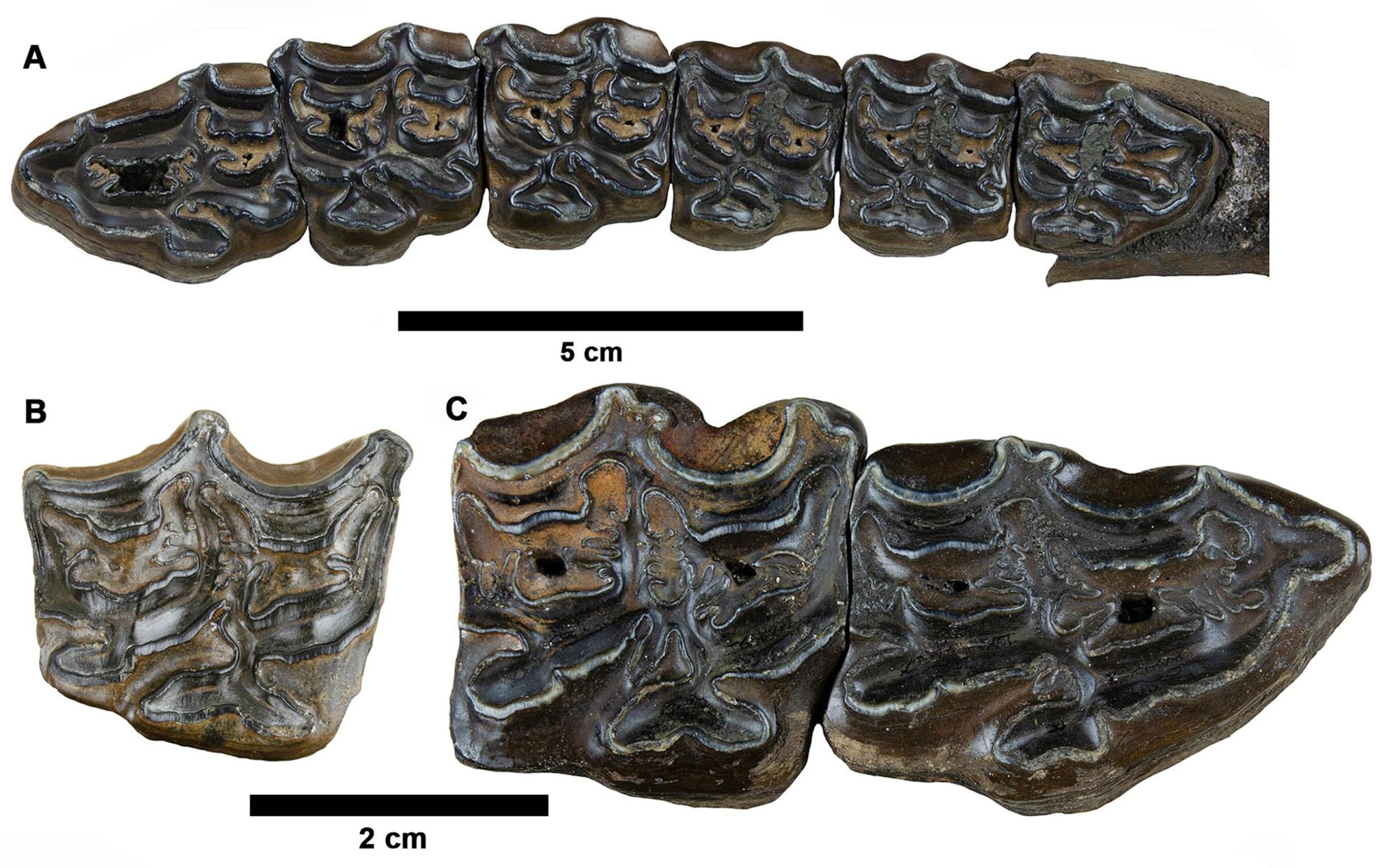 Fossstud 02 00014 g014