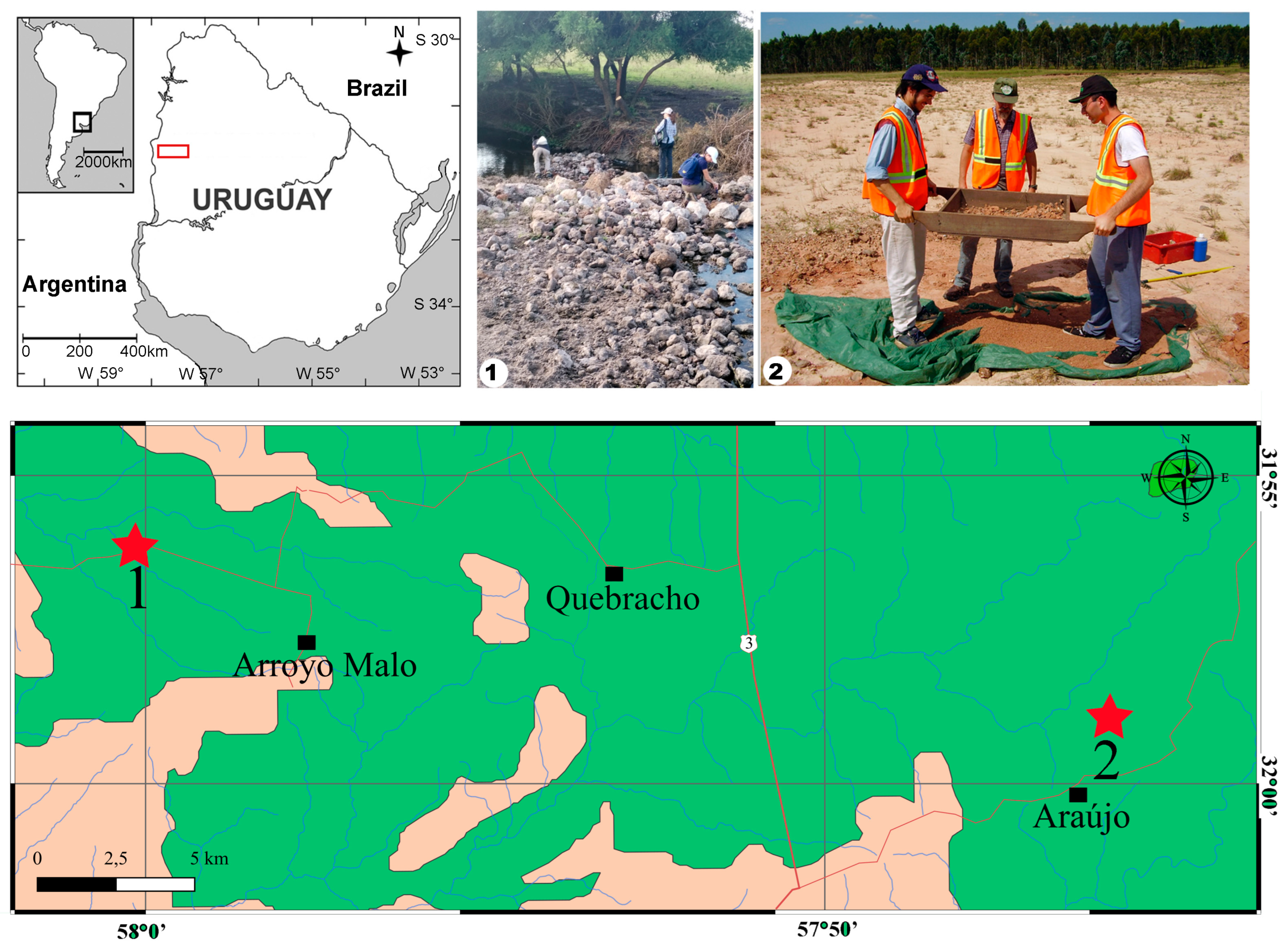 Fossstud 03 00002 g001