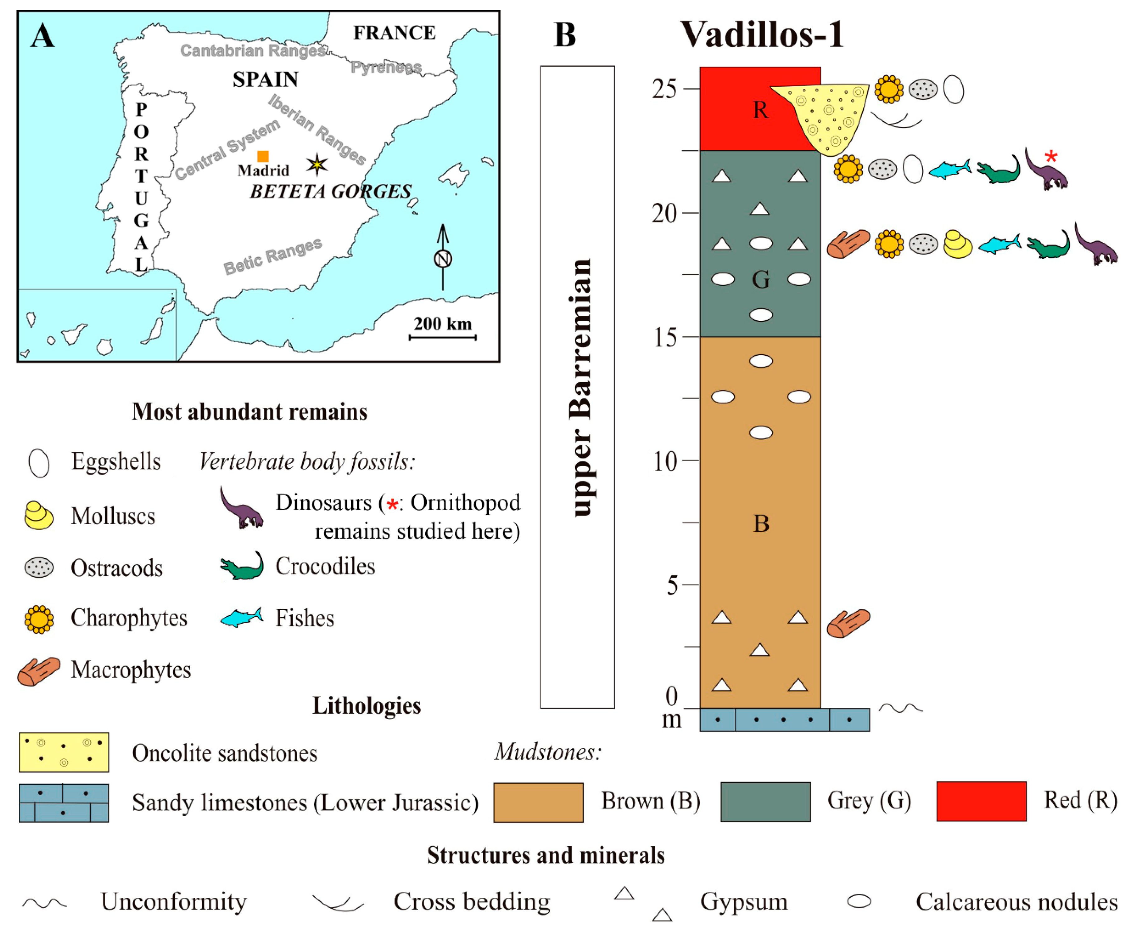 Fossstud 03 00005 g001