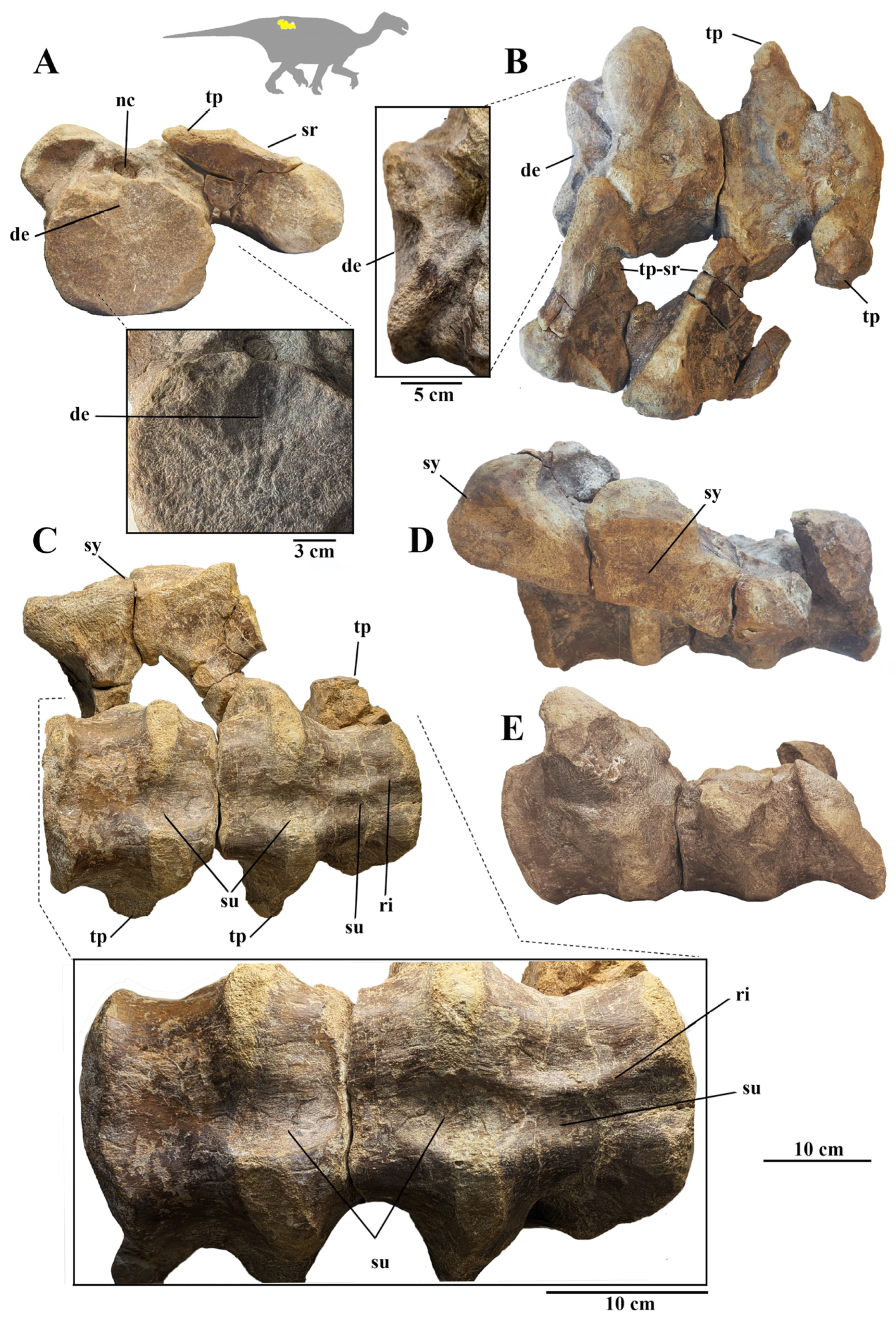 Fossstud 03 00005 g002