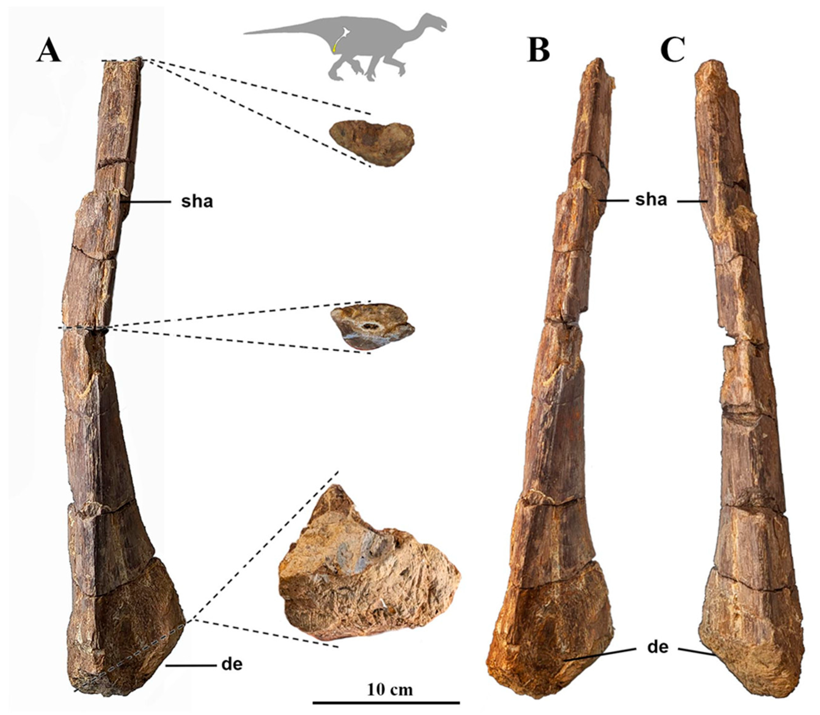Fossstud 03 00005 g004