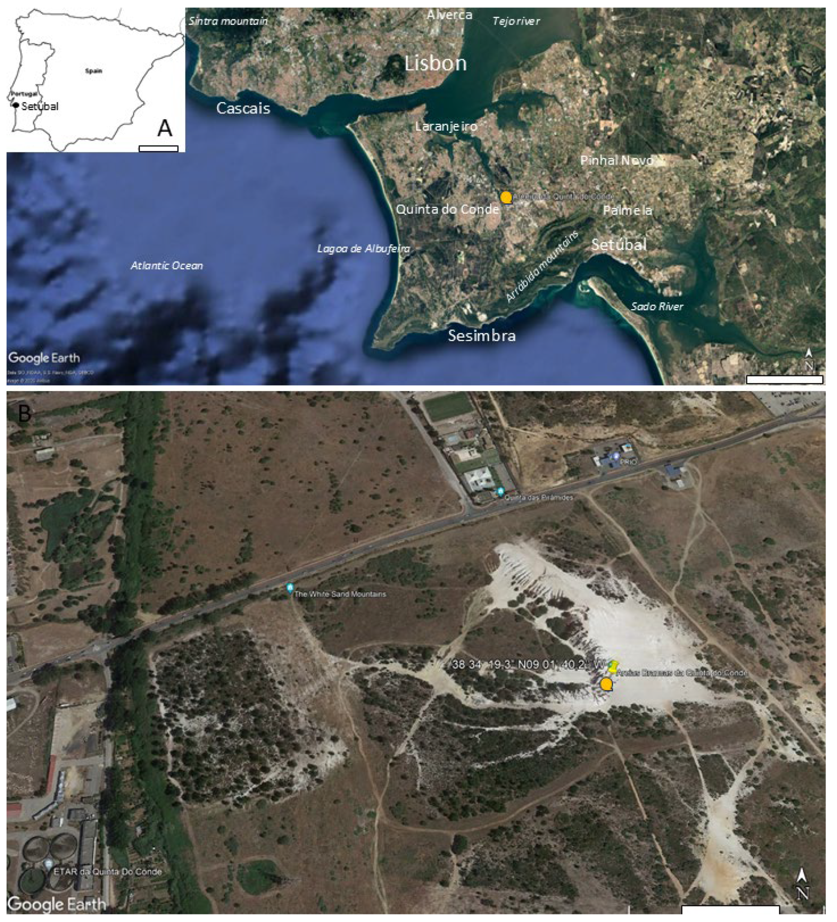 Fossstud 03 00008 g001