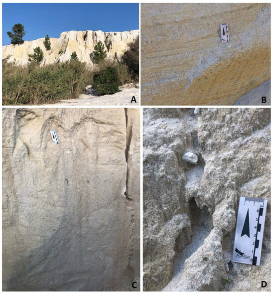 Fossstud 03 00008 g003