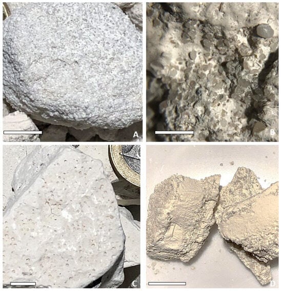 Fossstud 03 00008 g005