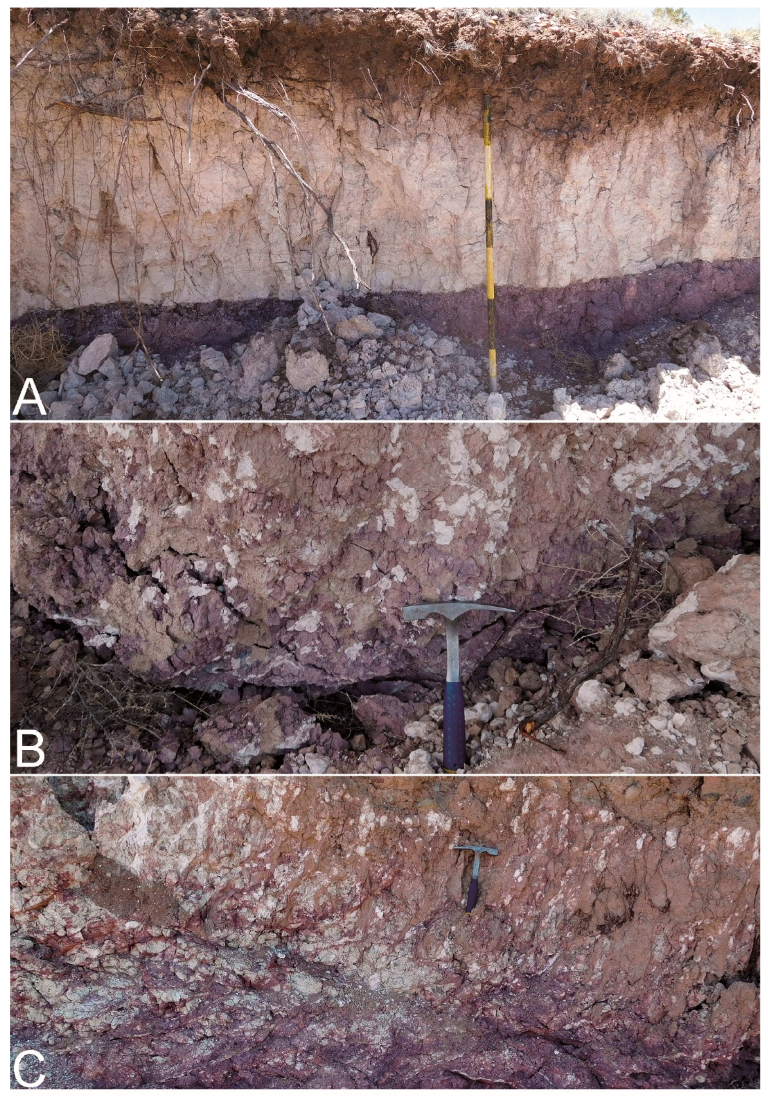 Fossstud 03 00009 g006