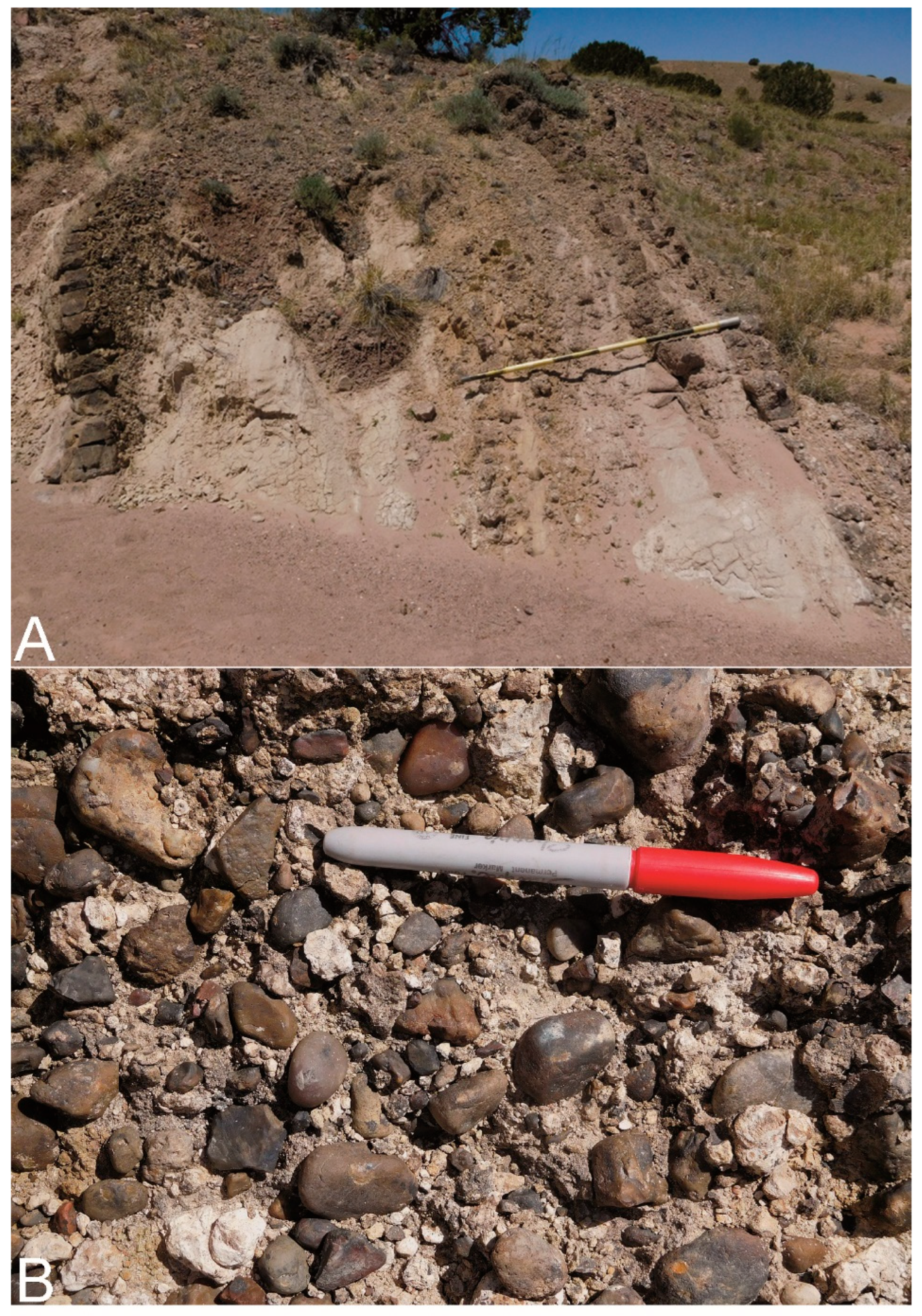 Fossstud 03 00009 g007