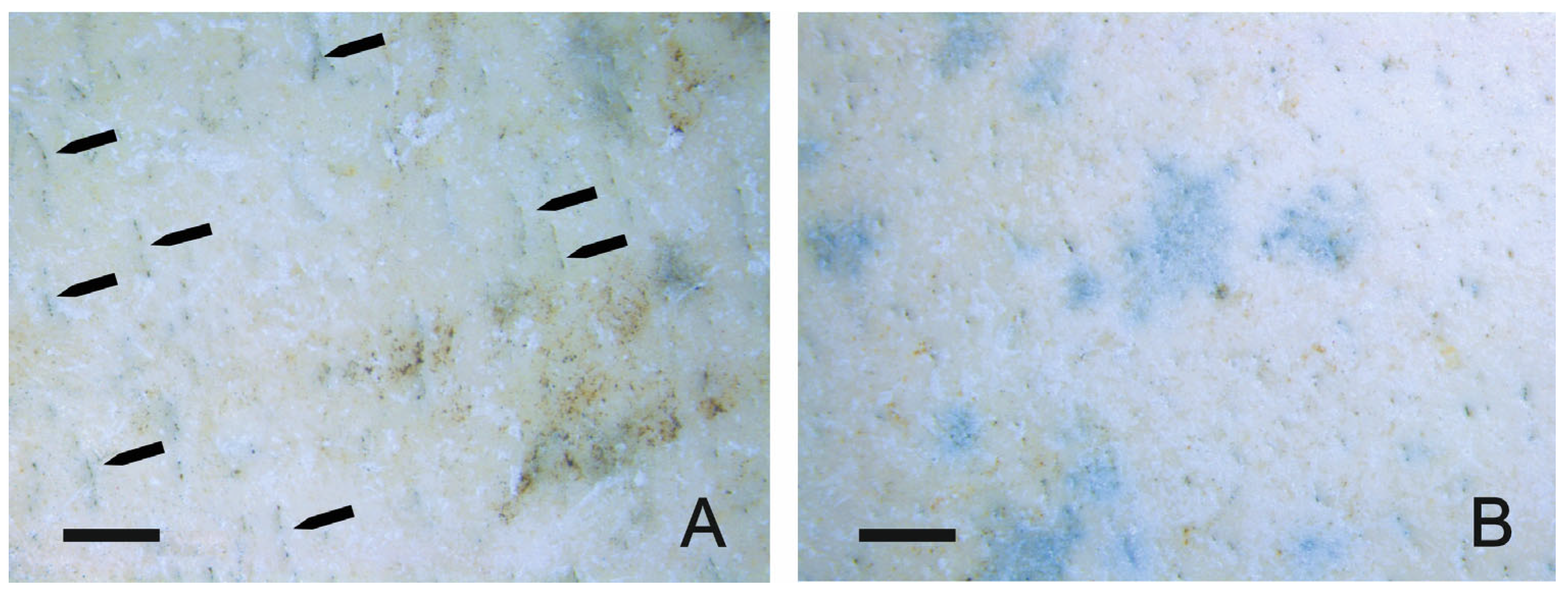 Fossstud 03 00013 g002 Fossstud 03 00013 g002