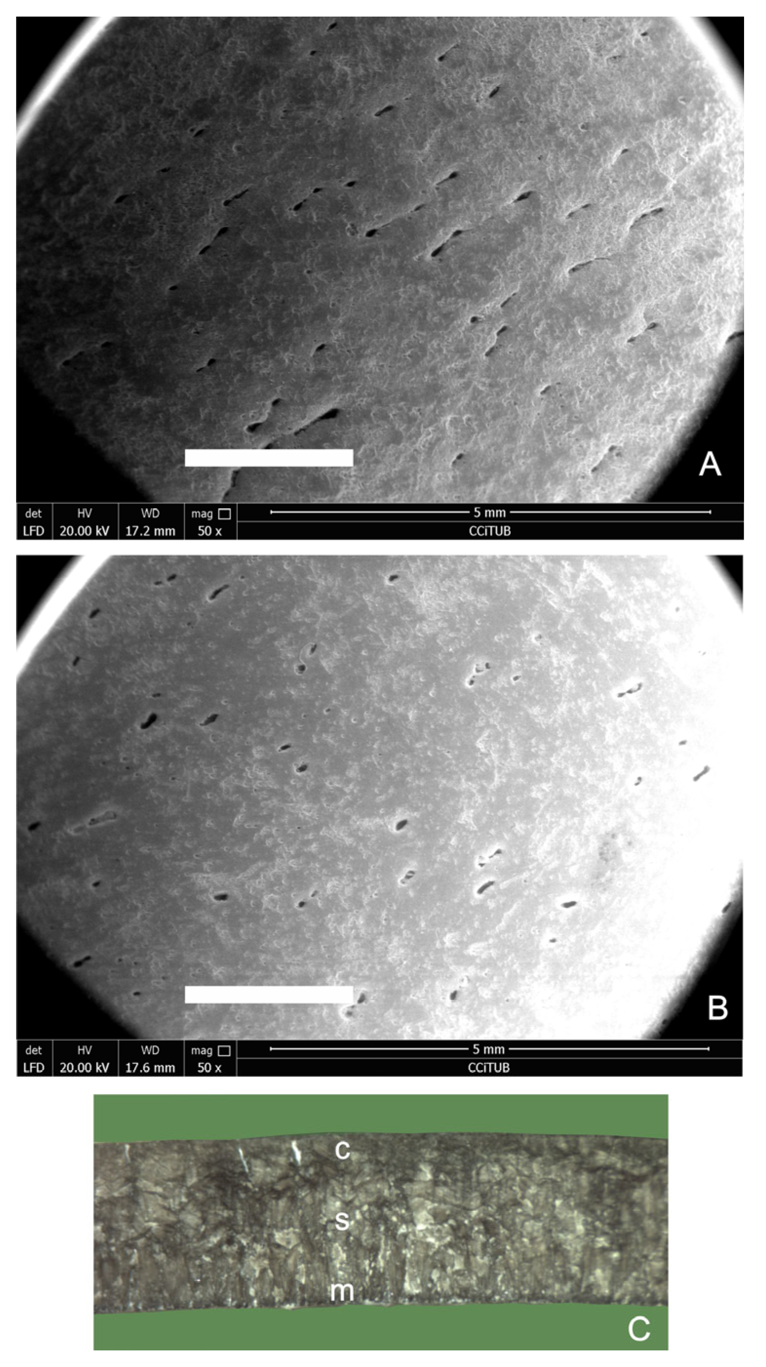 Fossstud 03 00013 g004 Fossstud 03 00013 g004