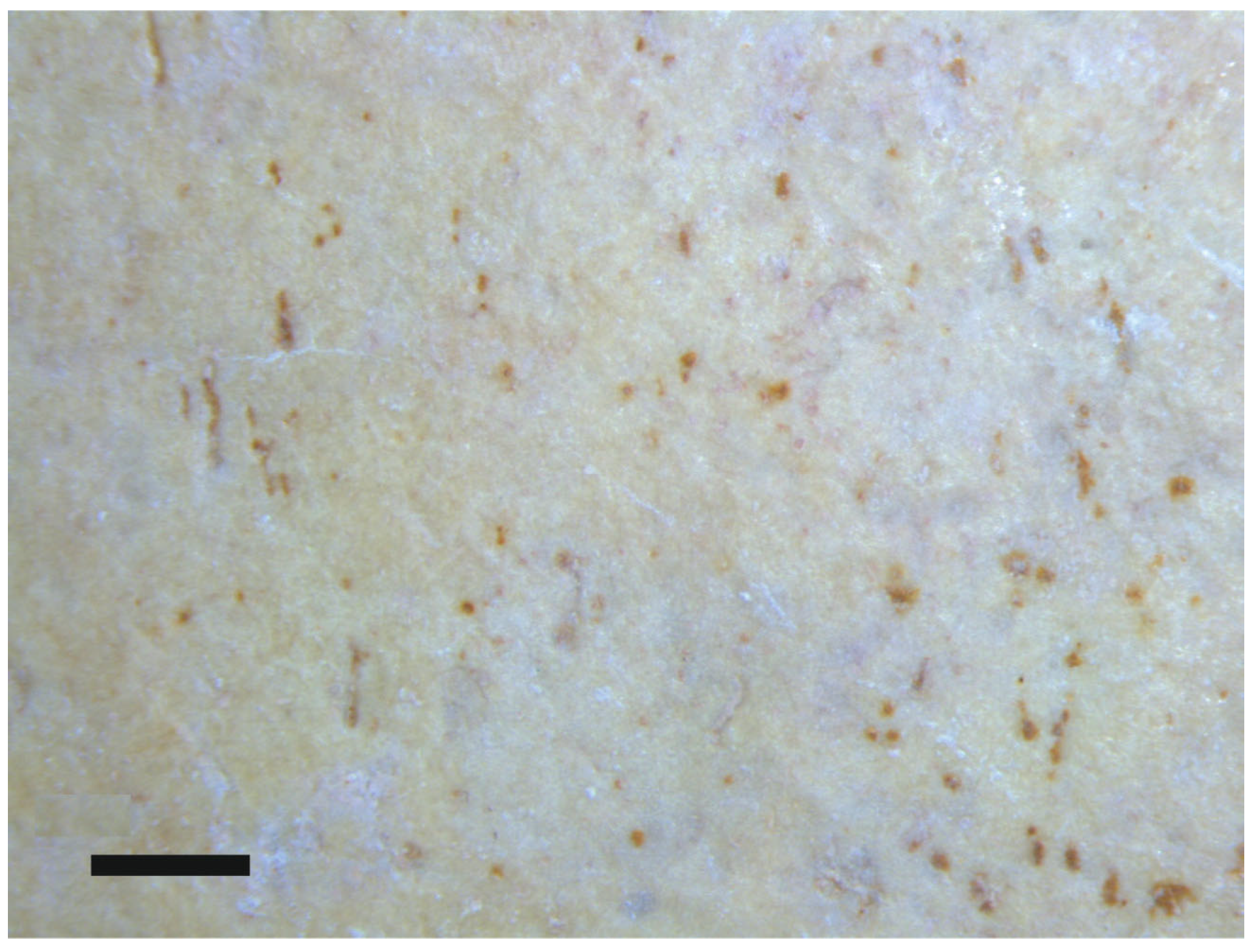 Fossstud 03 00013 g007 Fossstud 03 00013 g007