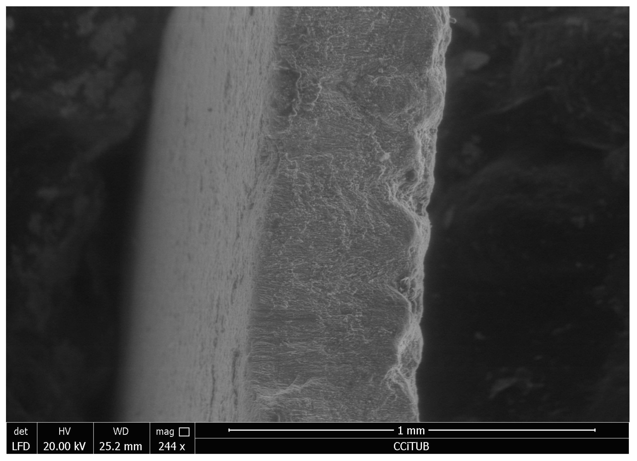 Fossstud 03 00013 g008 Fossstud 03 00013 g008