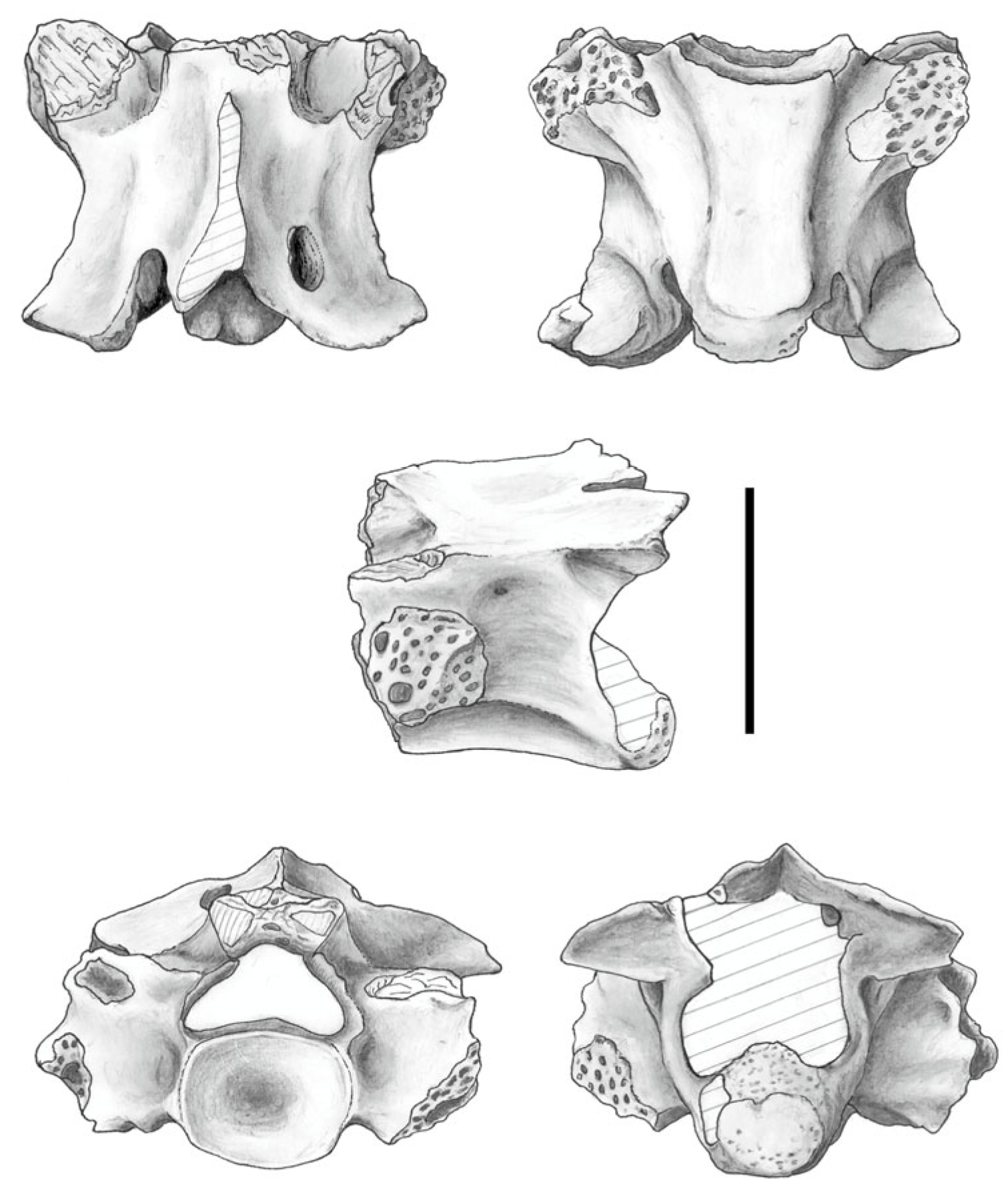 Fossstud 03 00013 g009 Fossstud 03 00013 g009