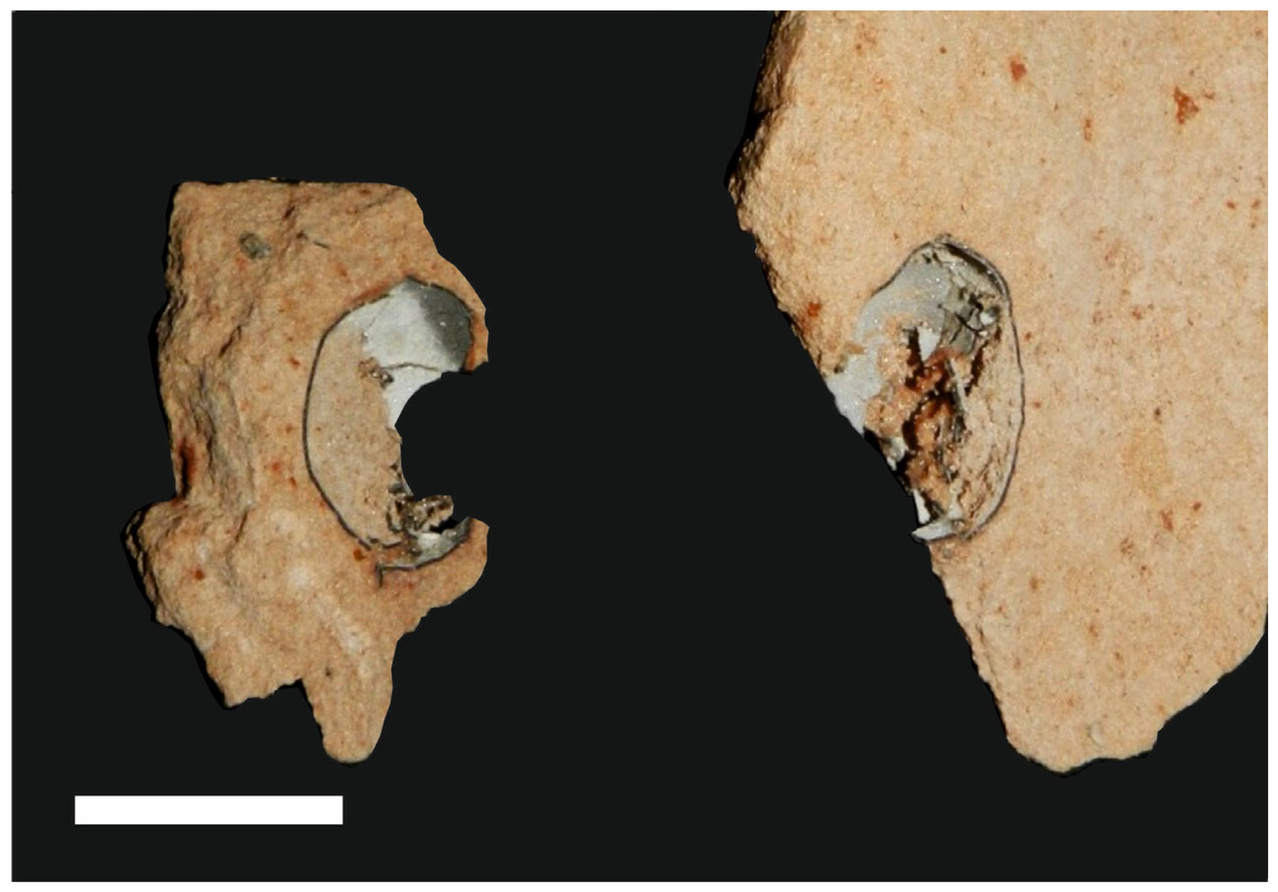 Fossstud 03 00013 g010 Fossstud 03 00013 g010