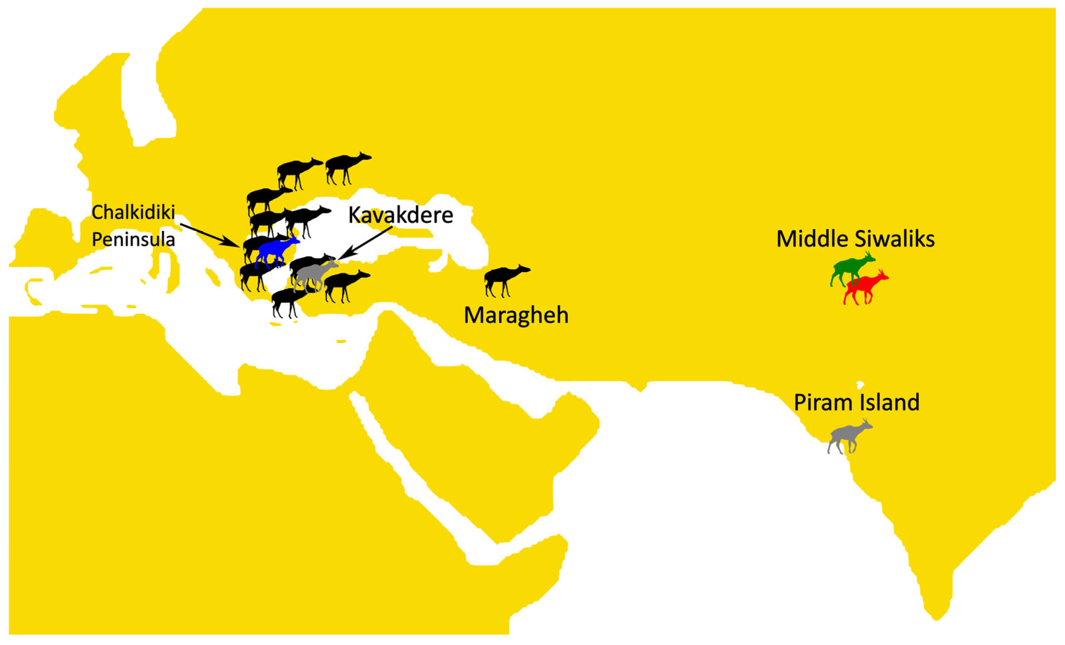 Fossstud 03 00017 g006 Fossstud 03 00017 g006