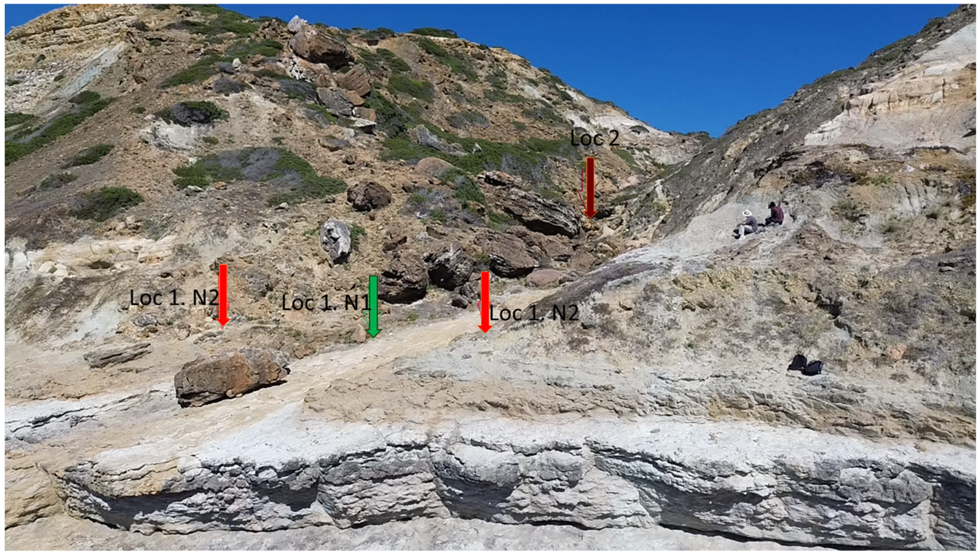 Fossstud 03 00018 g003