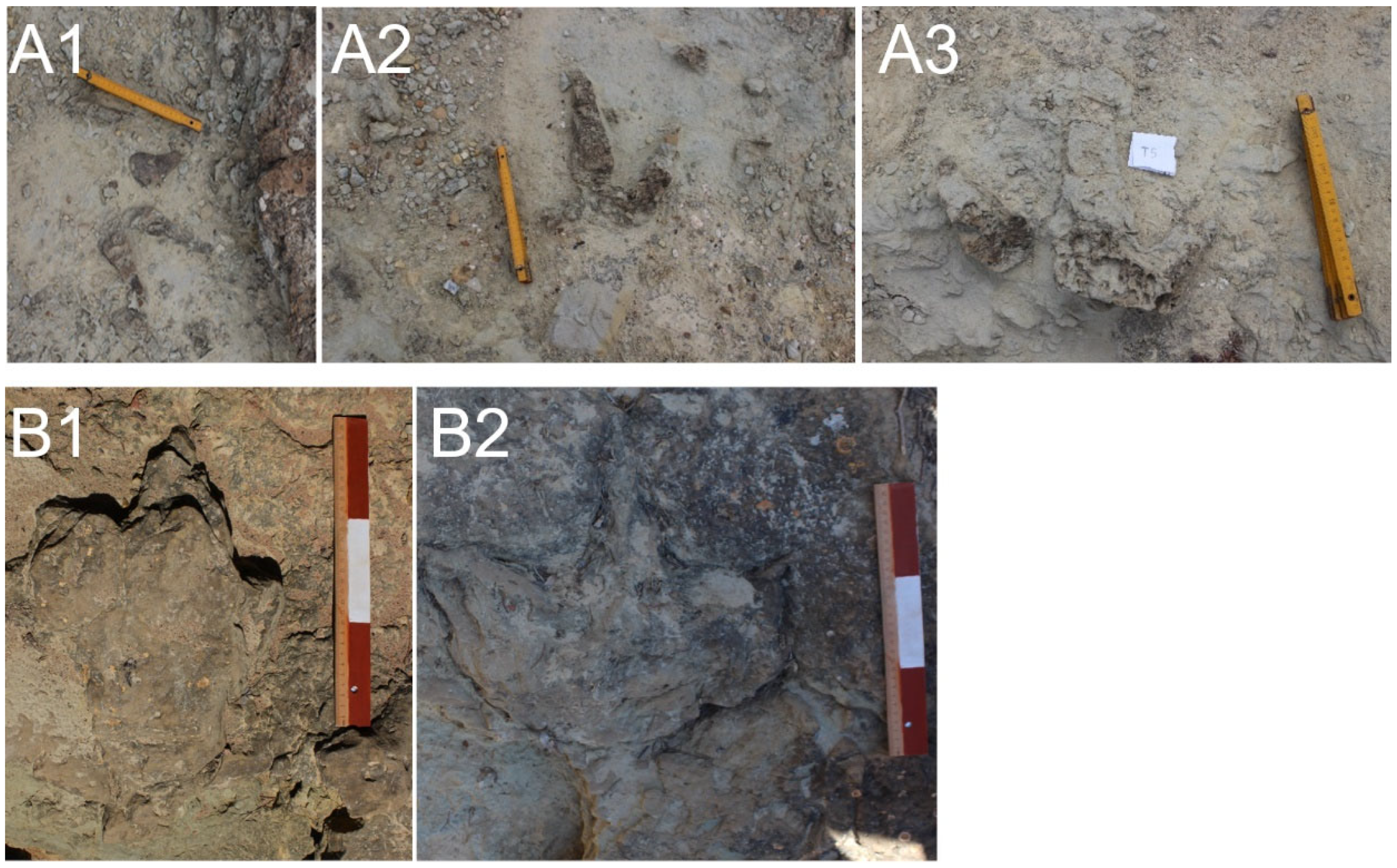 Fossstud 03 00018 g004