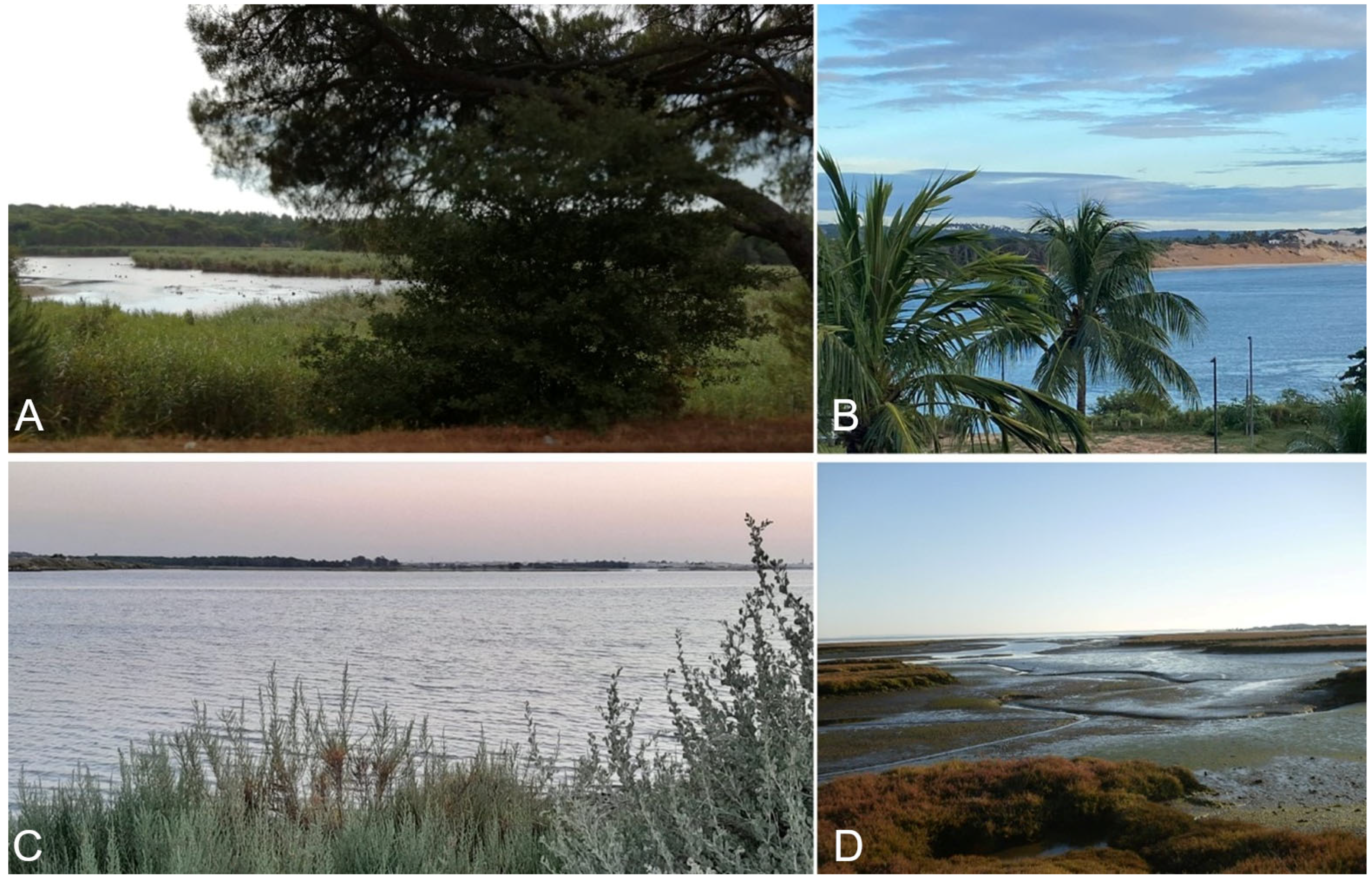 Fossstud 03 00018 g005