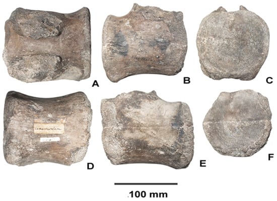 Fossstud 04 00005 g002