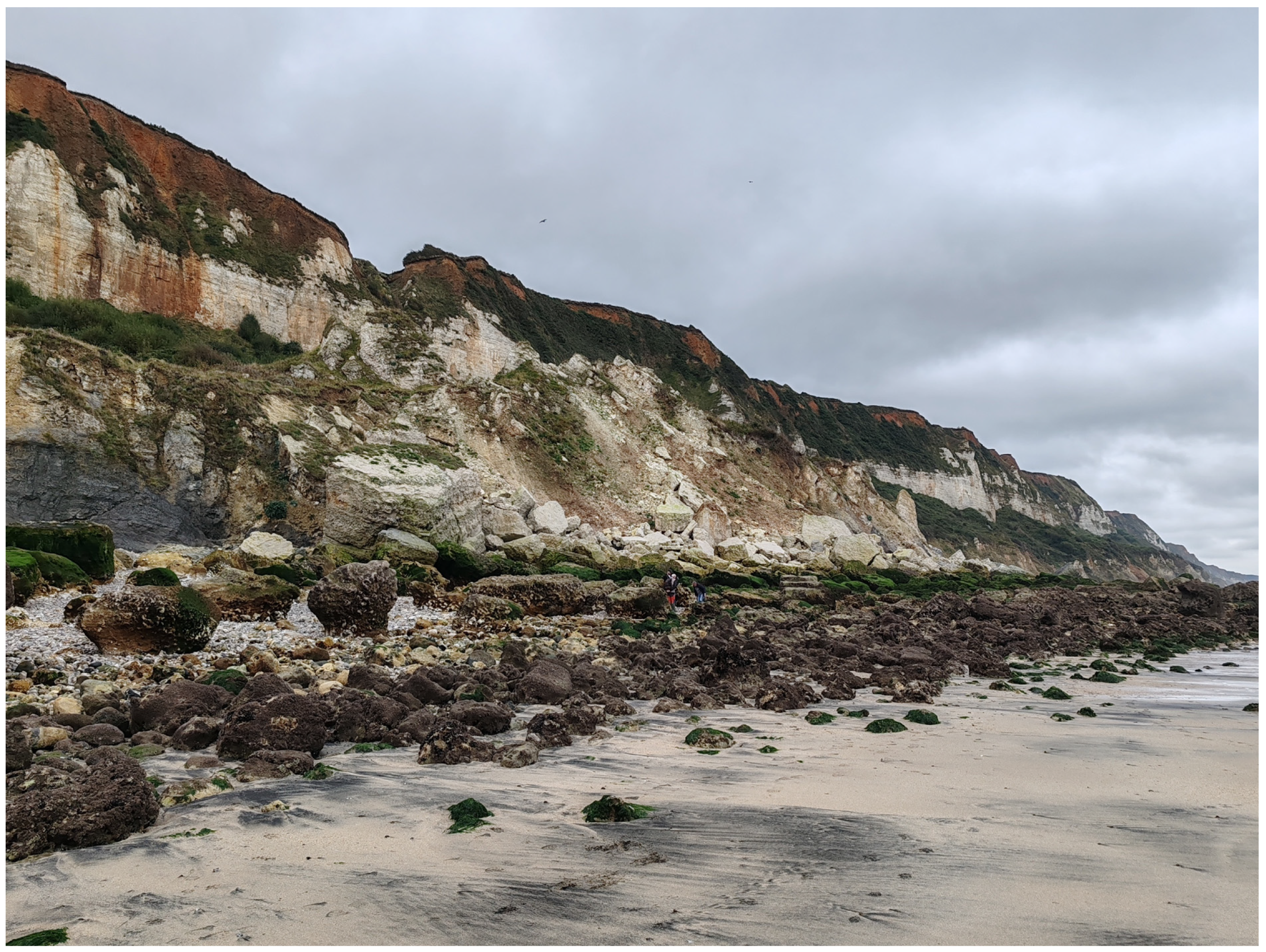 Fossstud 04 00005 g007