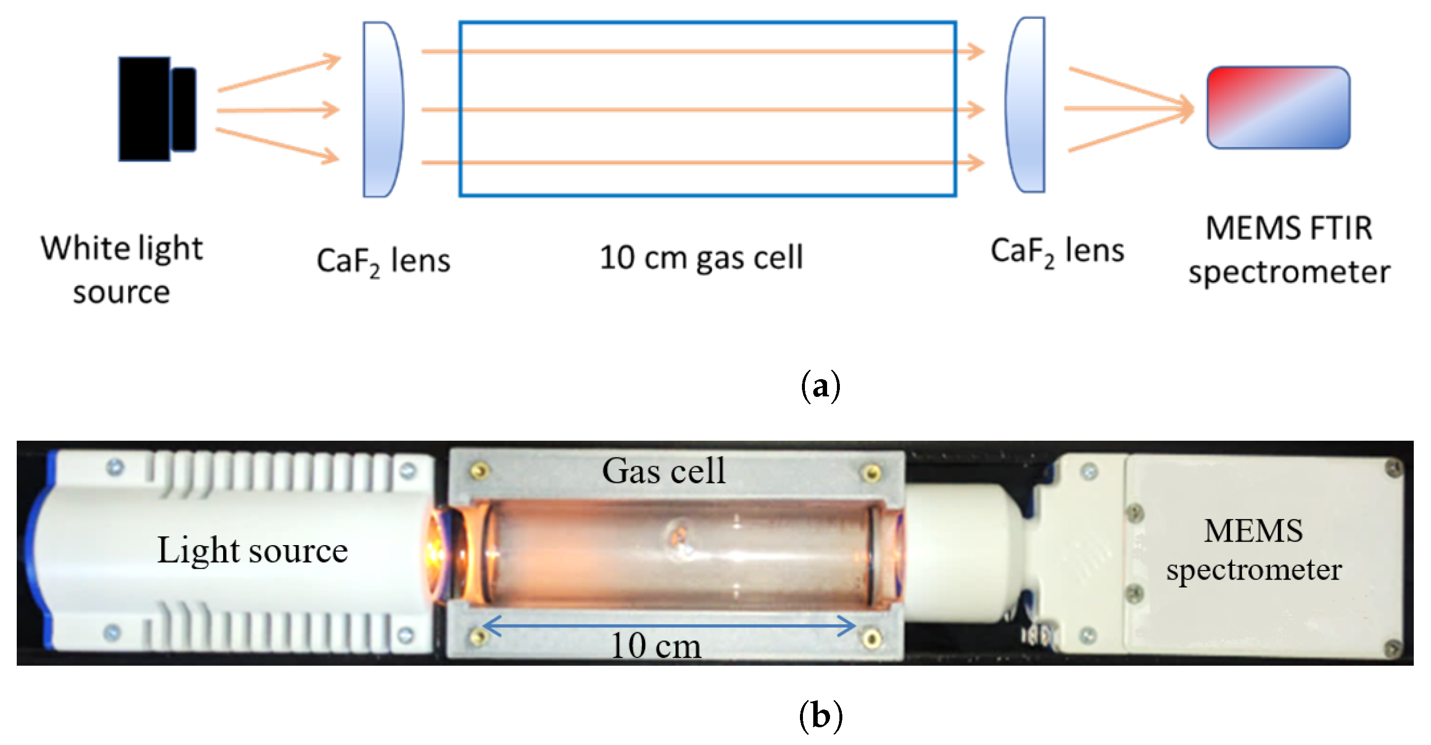 Foundations 01 00022 g005