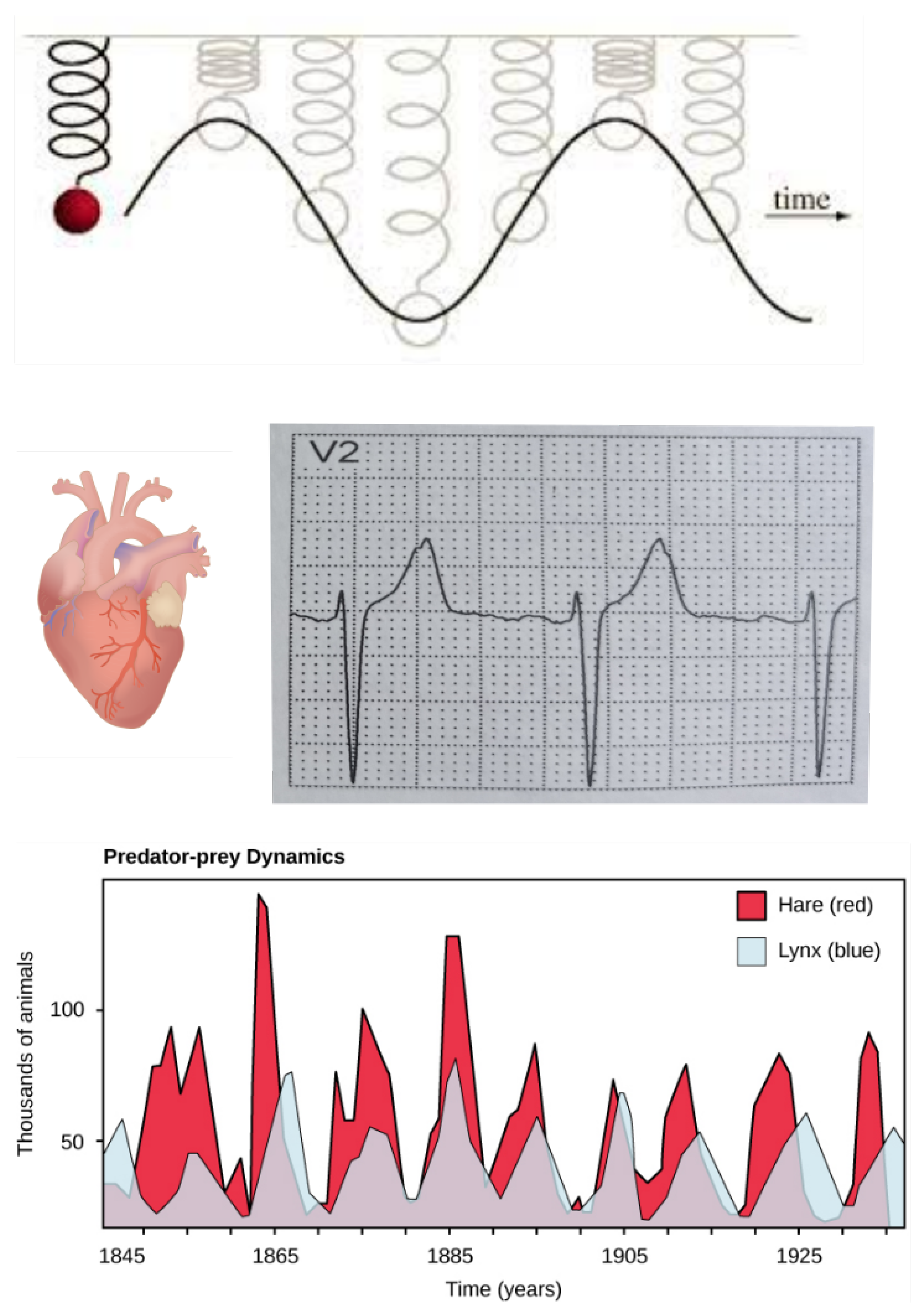 Foundations 02 00022 g002