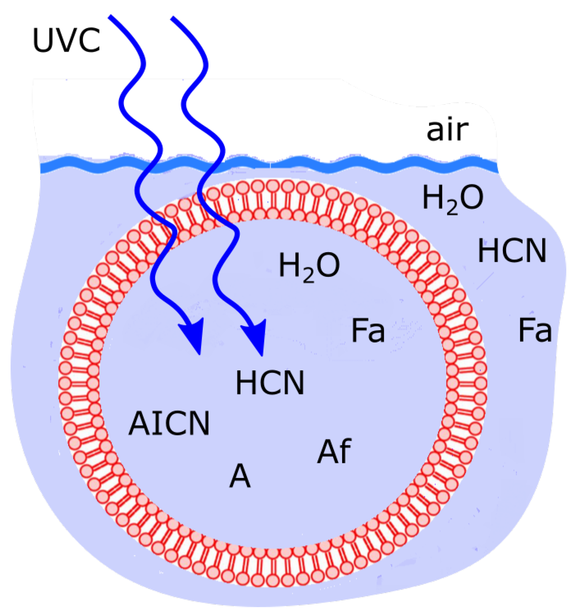 Foundations 02 00022 g010
