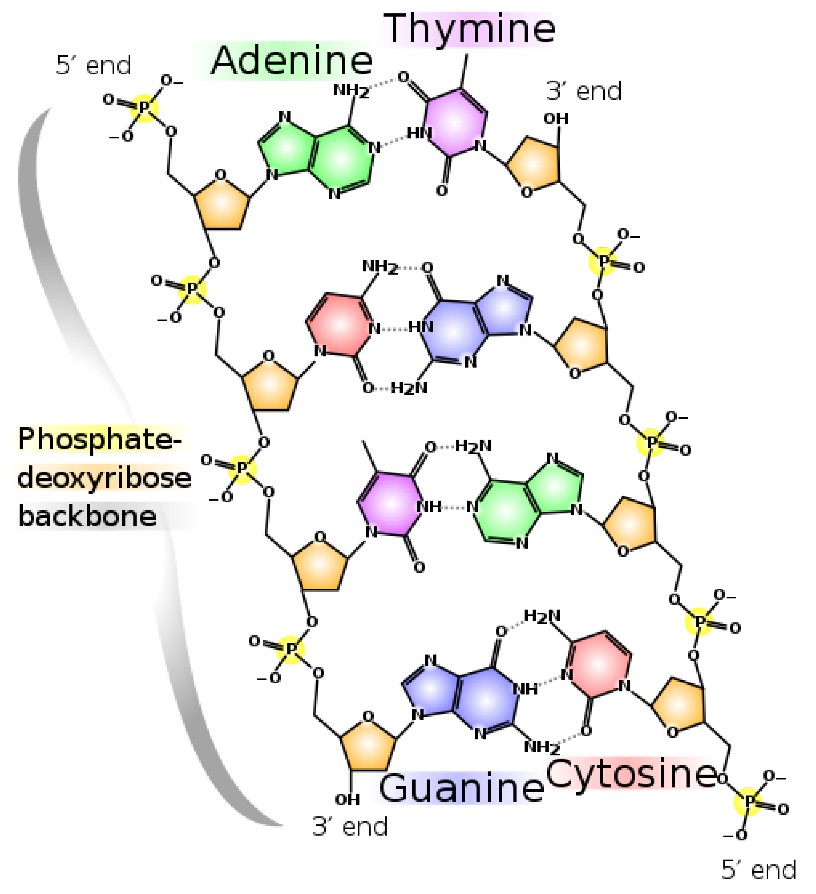 Foundations 02 00022 g011