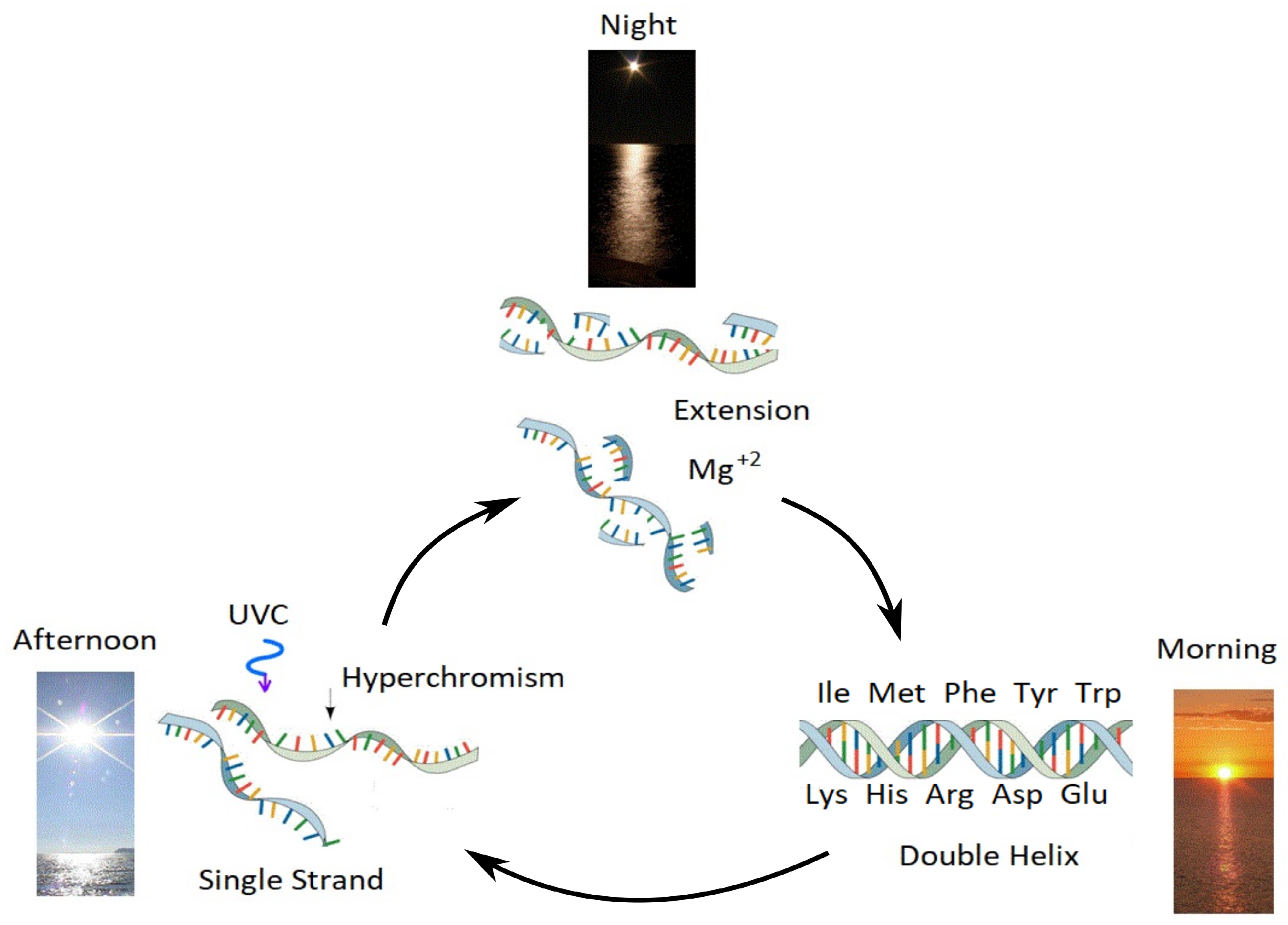 Foundations 02 00022 g012