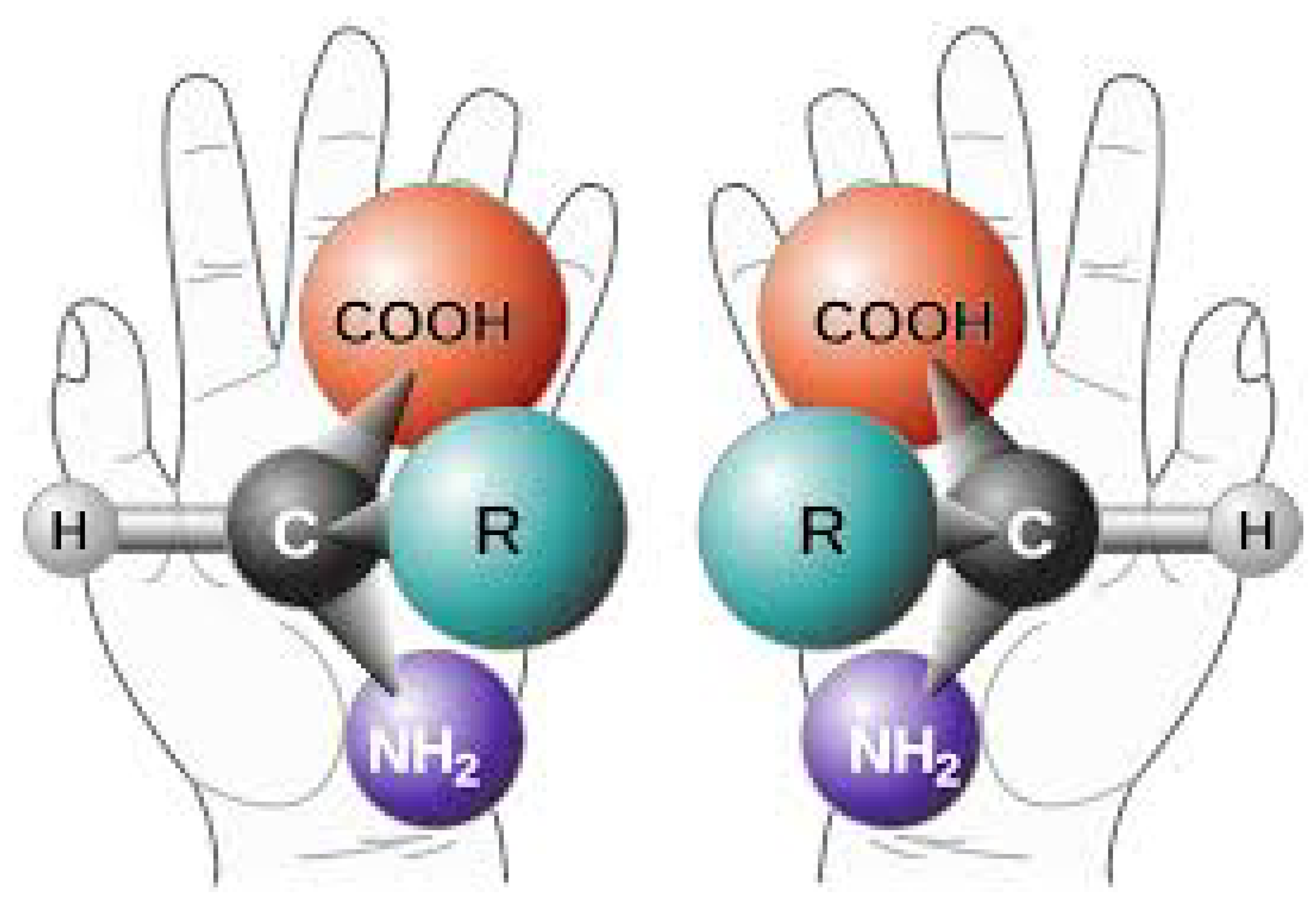 Foundations 02 00022 g013