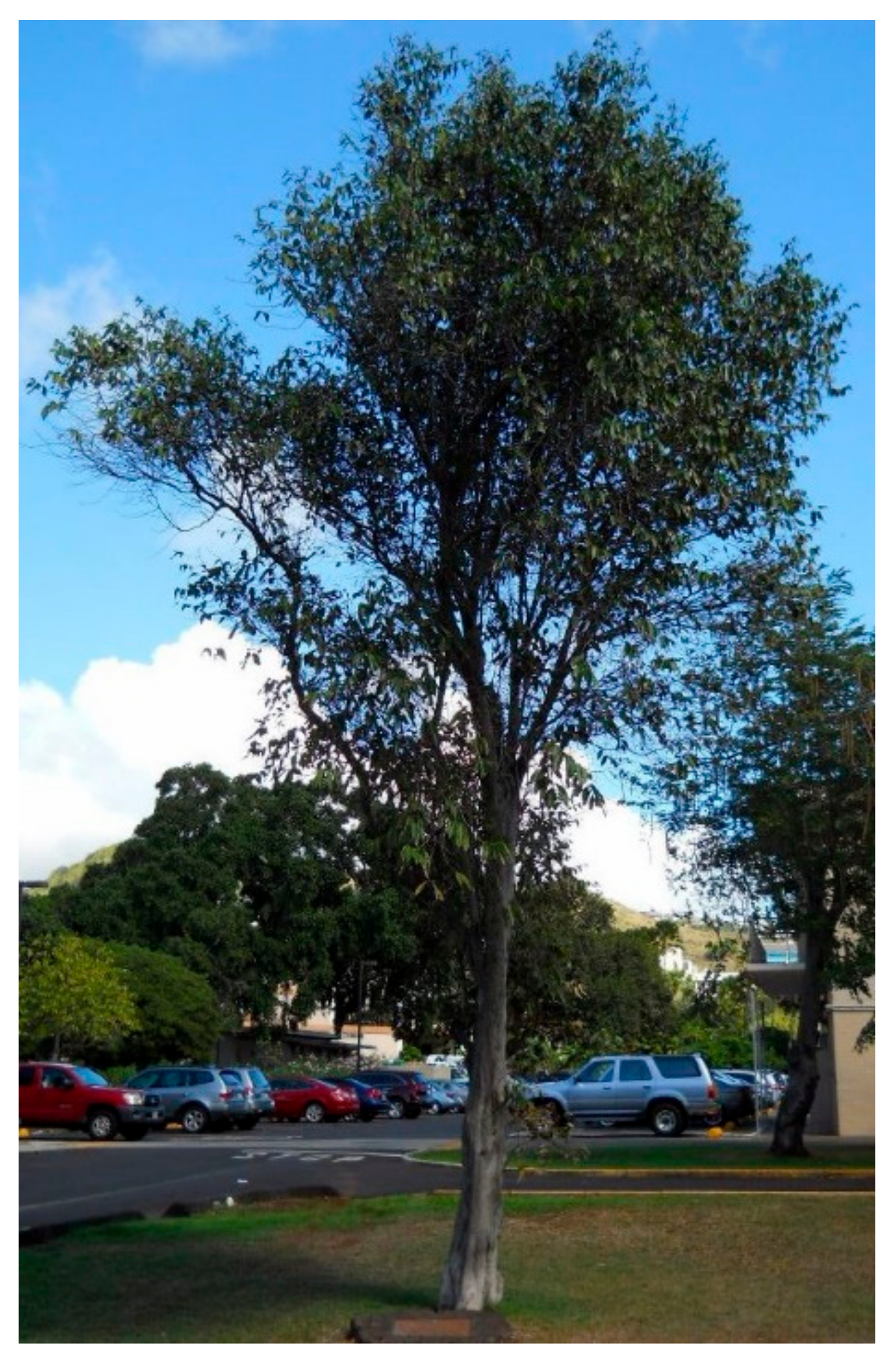 Foundations 02 00043 g003