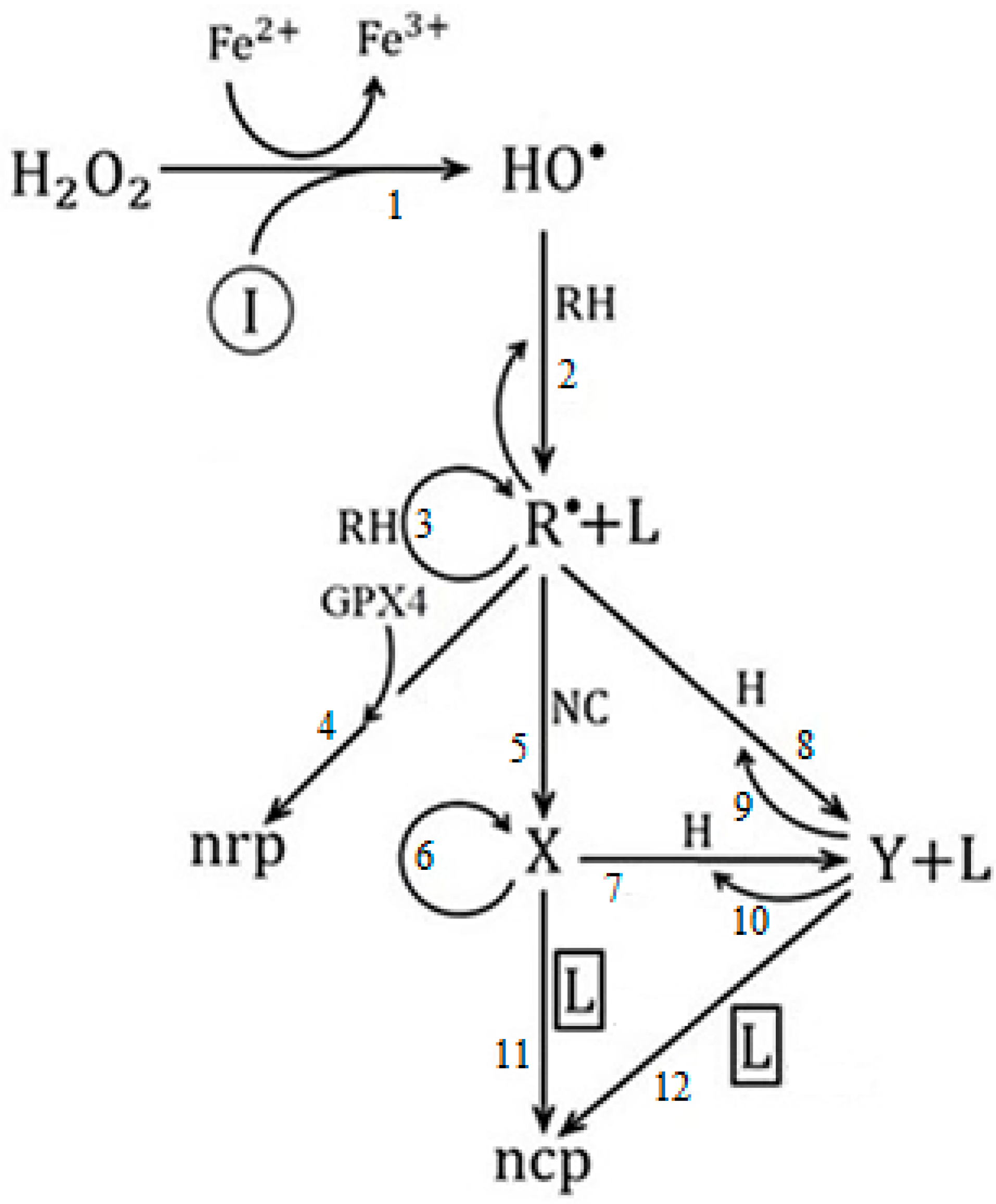 Foundations 02 00045 g005