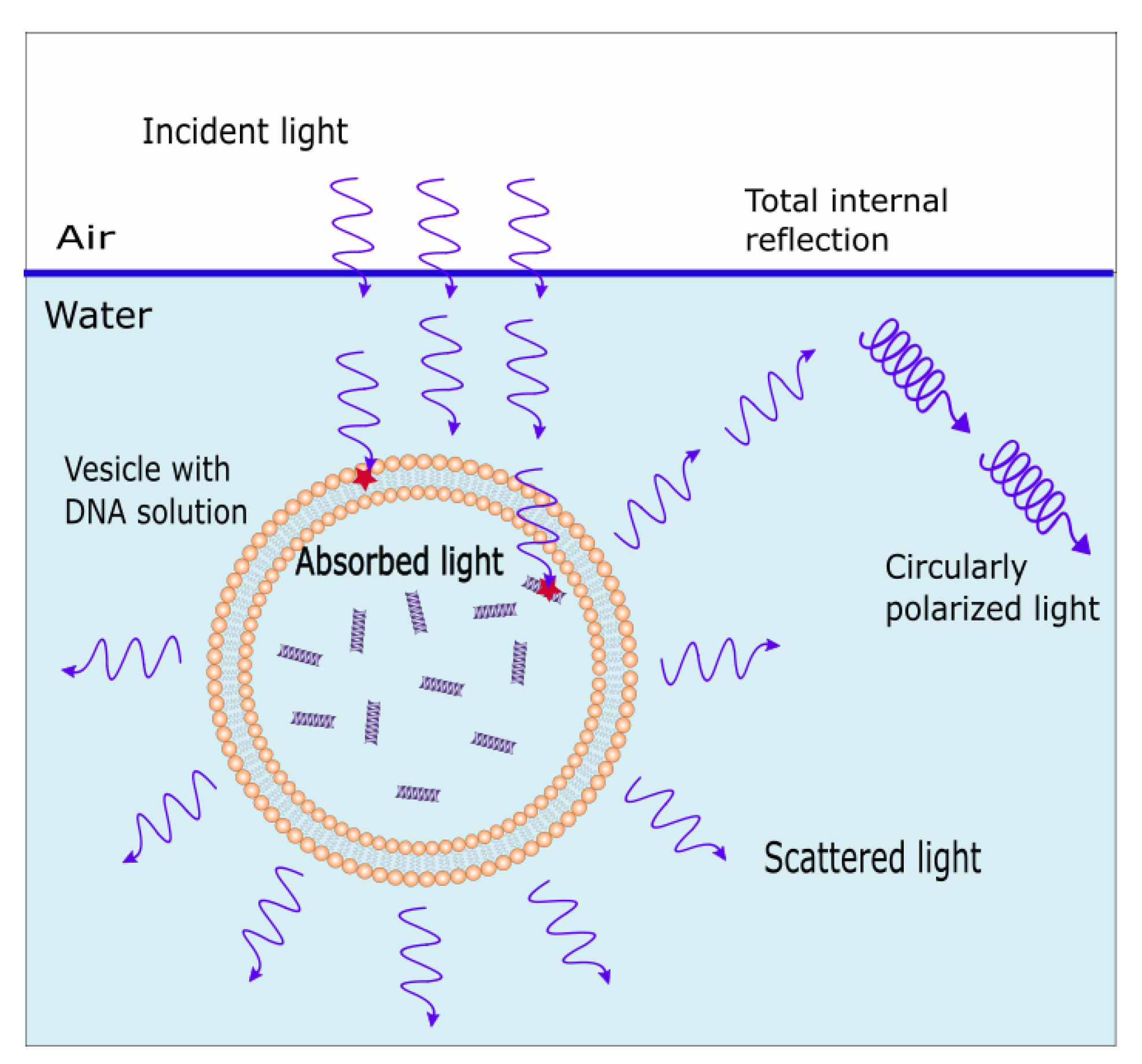 Foundations 03 00010 g002