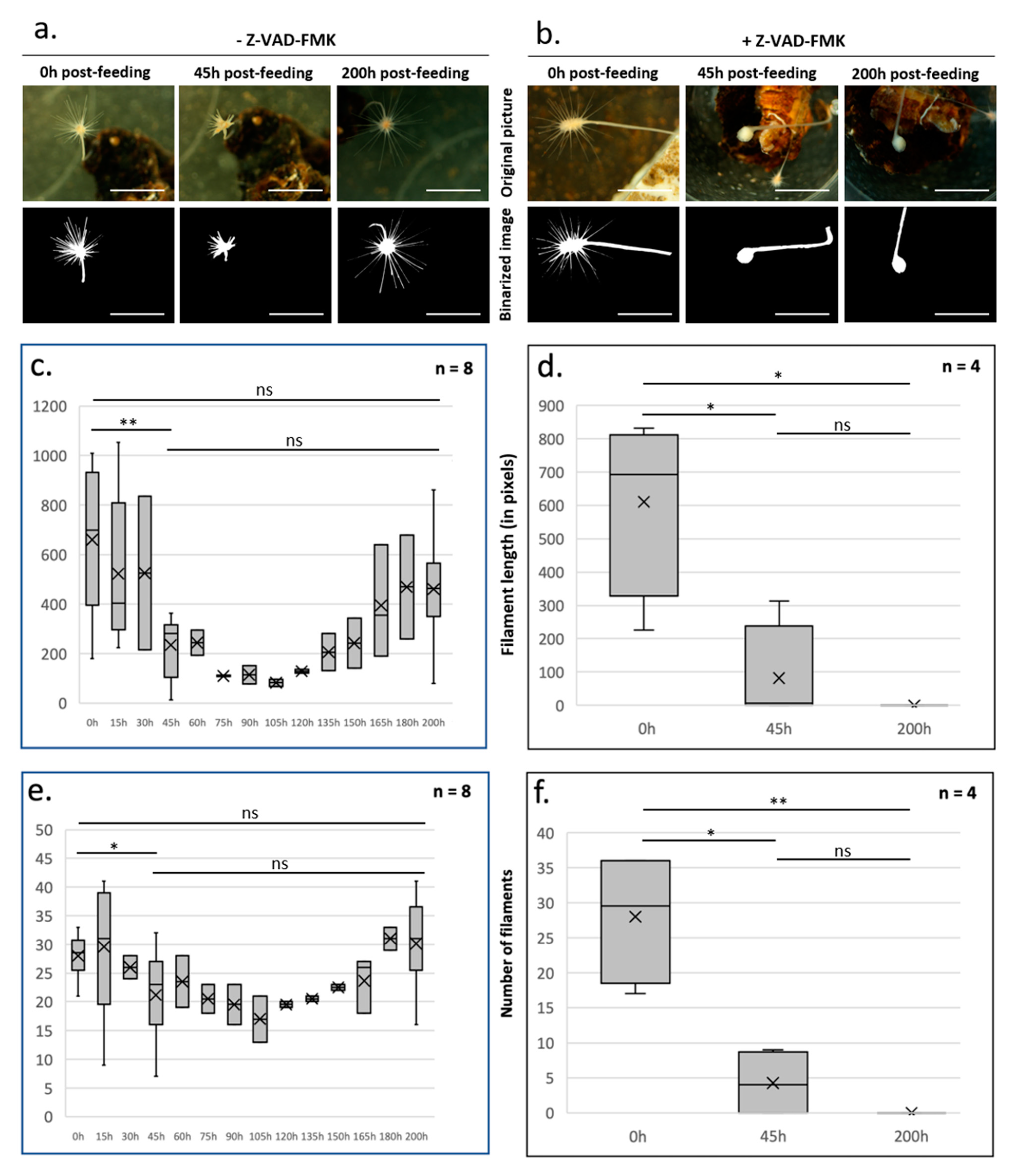 Foundations 03 00018 g001