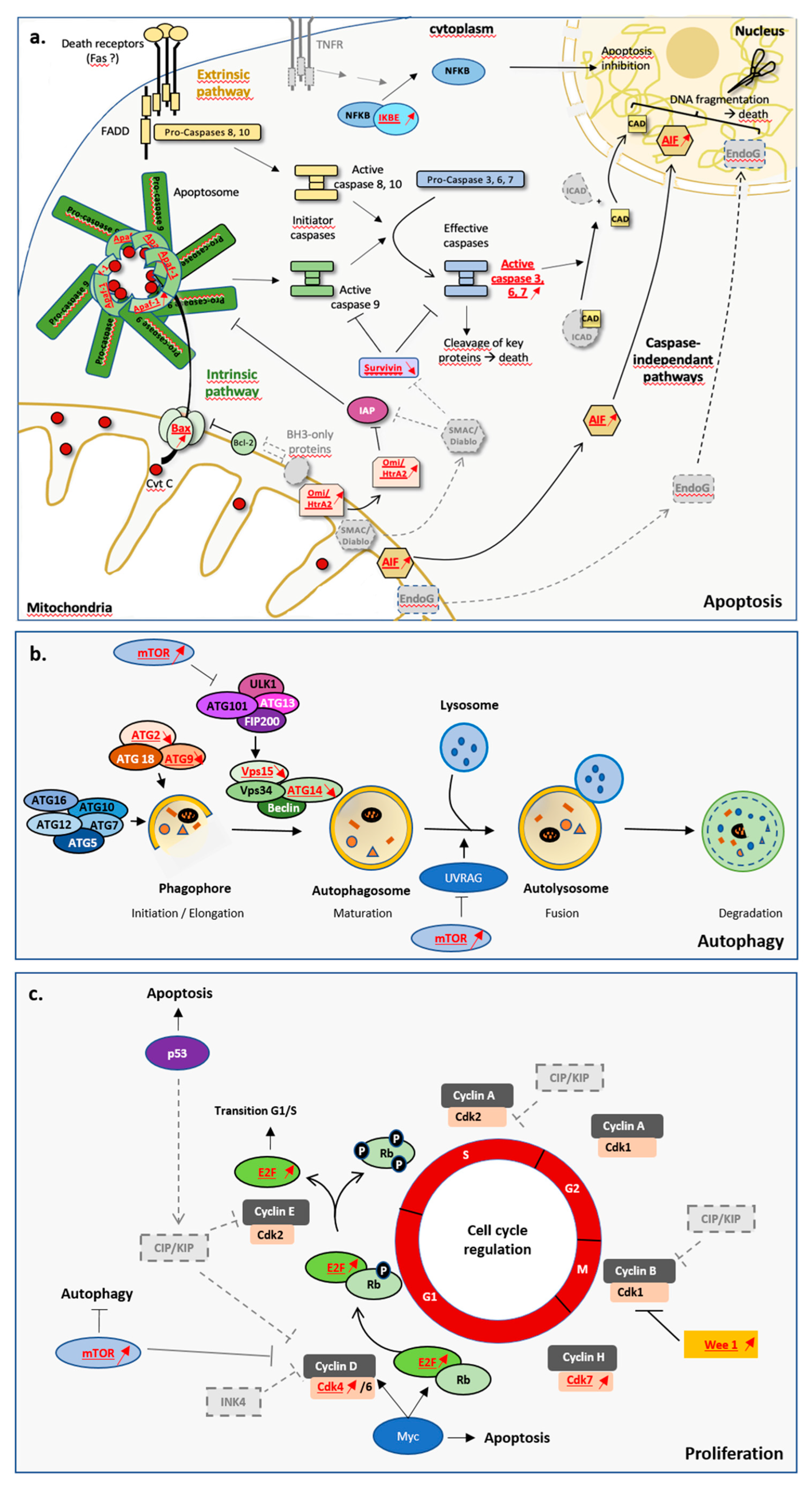 Foundations 03 00018 g002