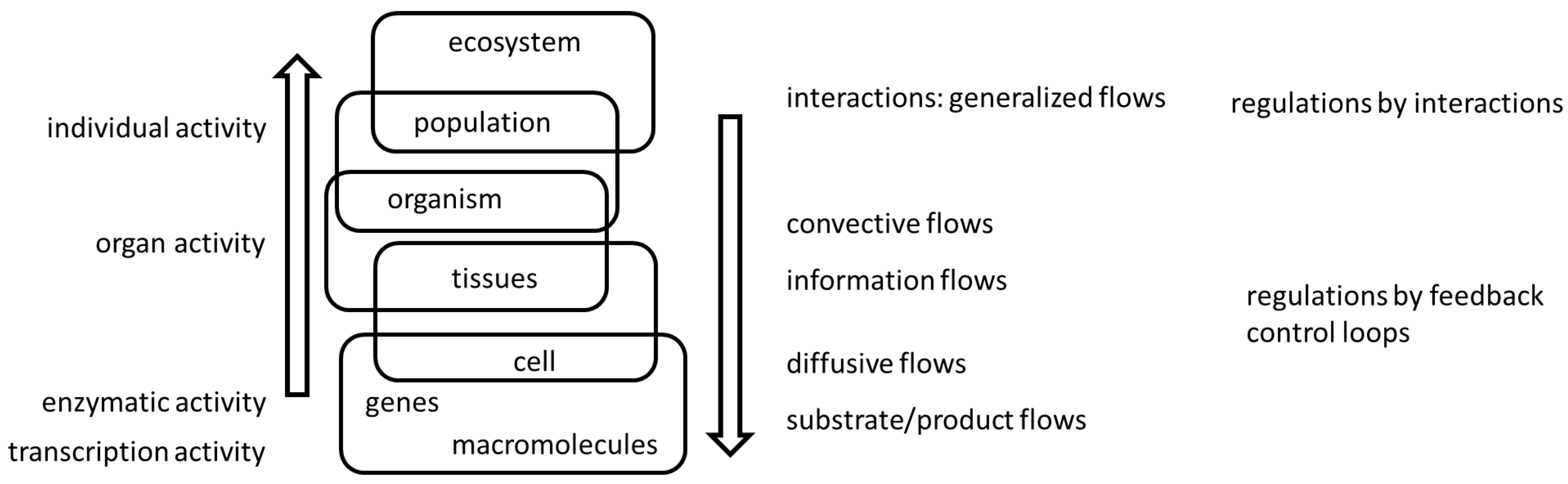 Foundations 03 00029 g001