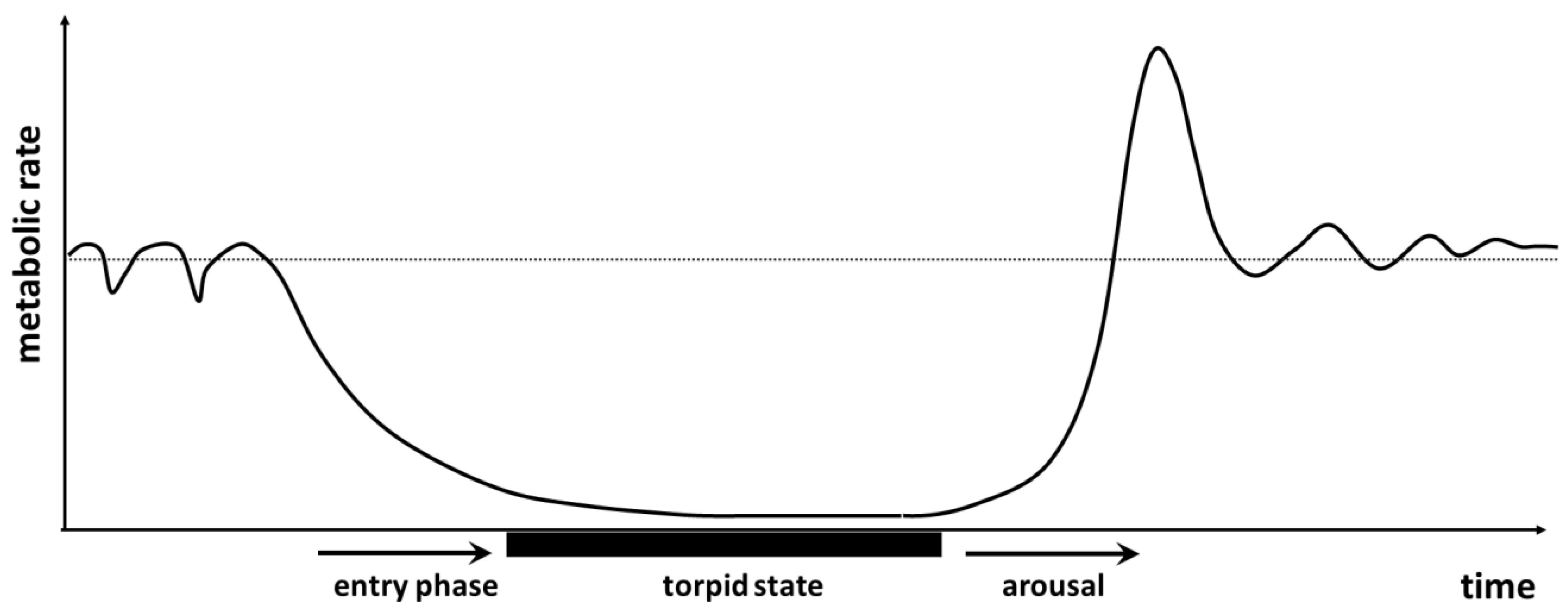 Foundations 03 00029 g004