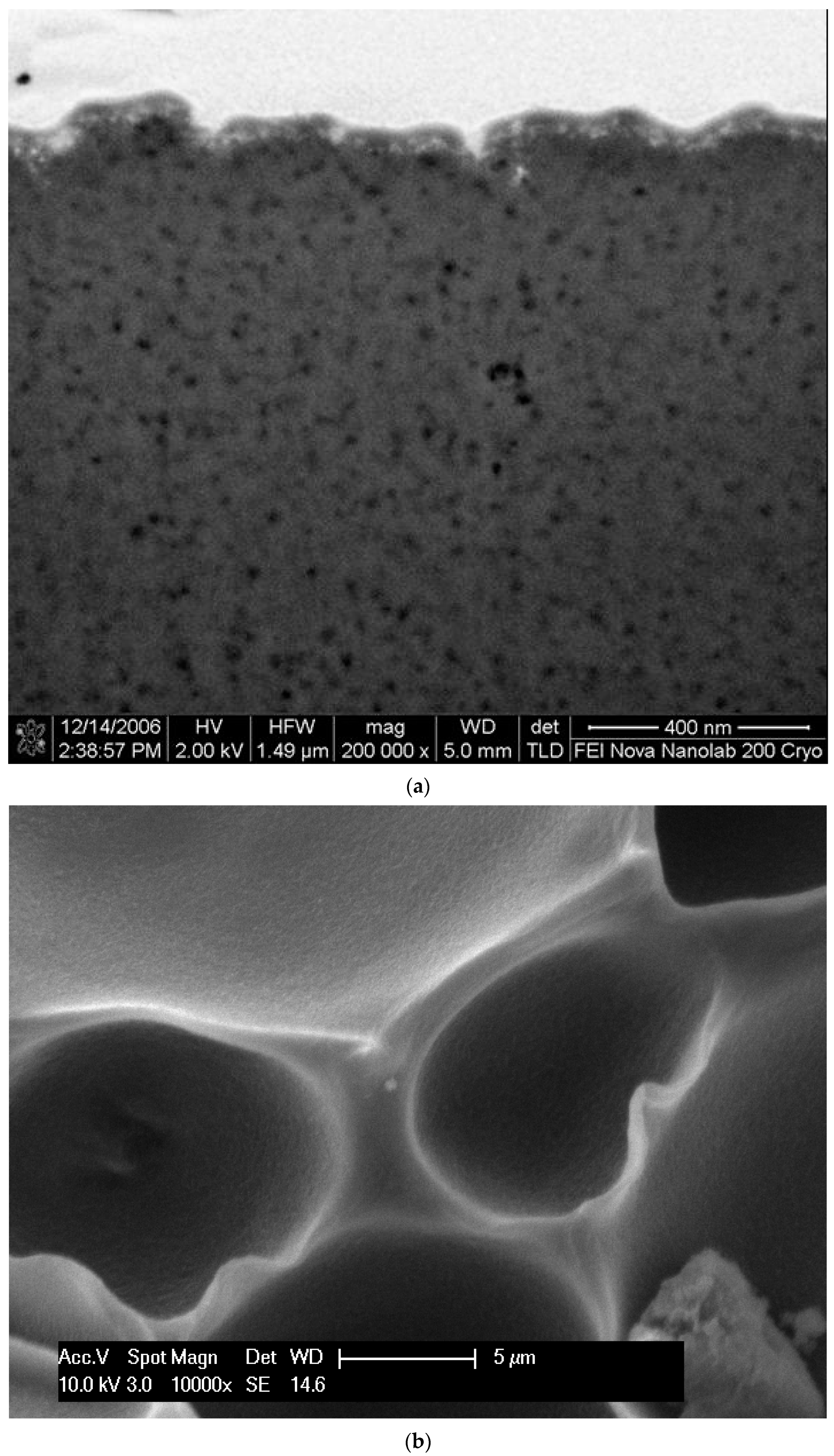 Foundations 04 00015 g001