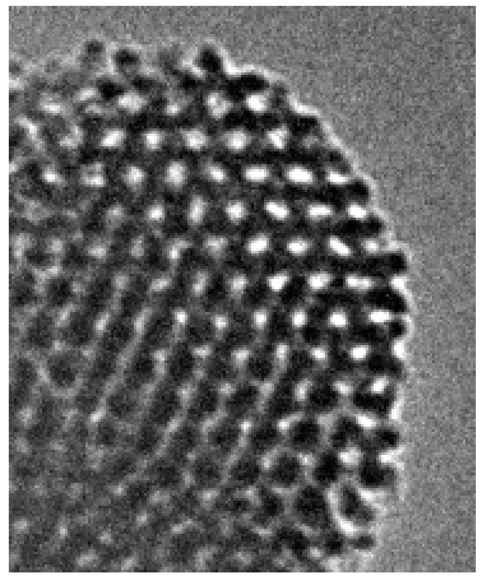 Foundations 04 00015 g002