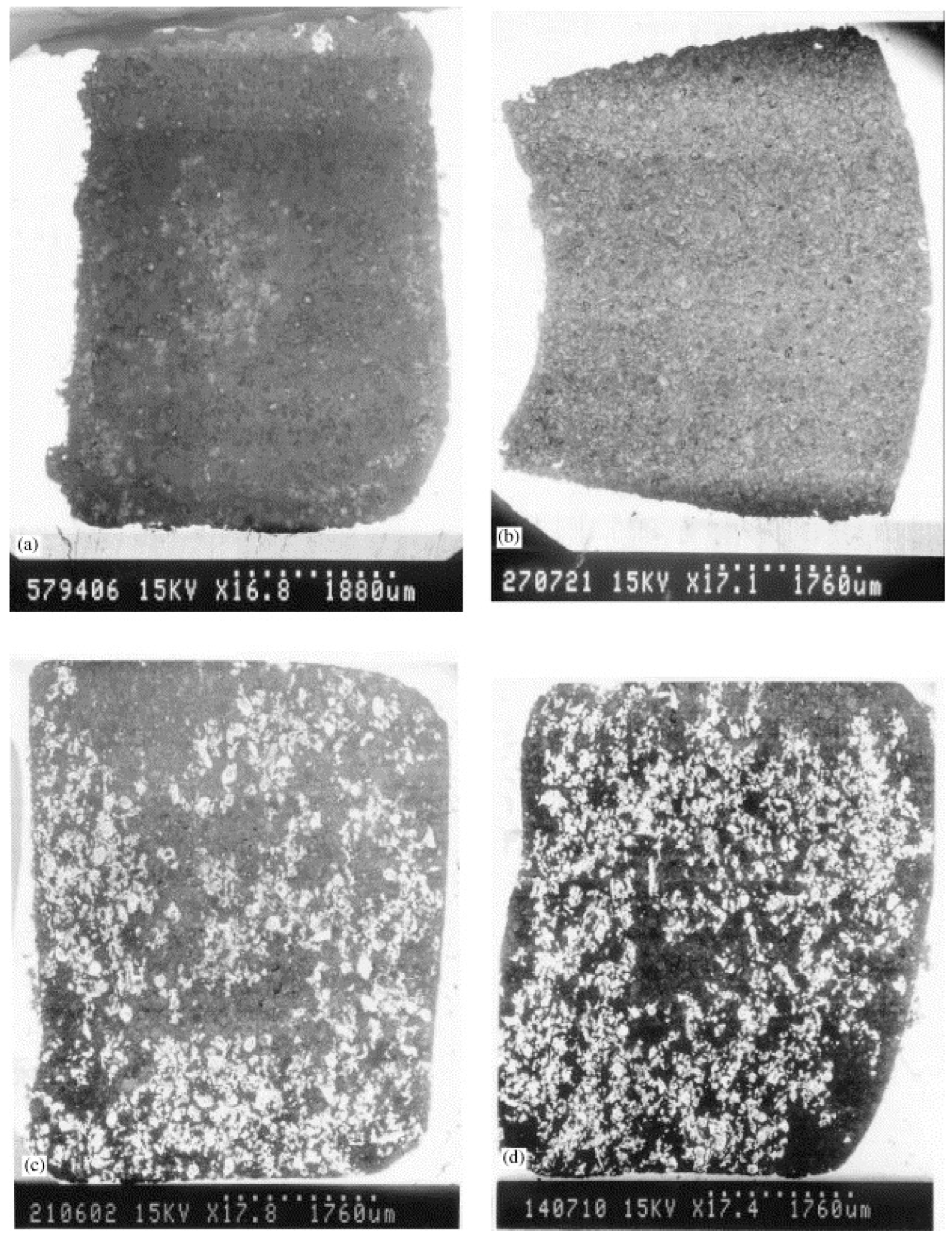 Foundations 04 00015 g006