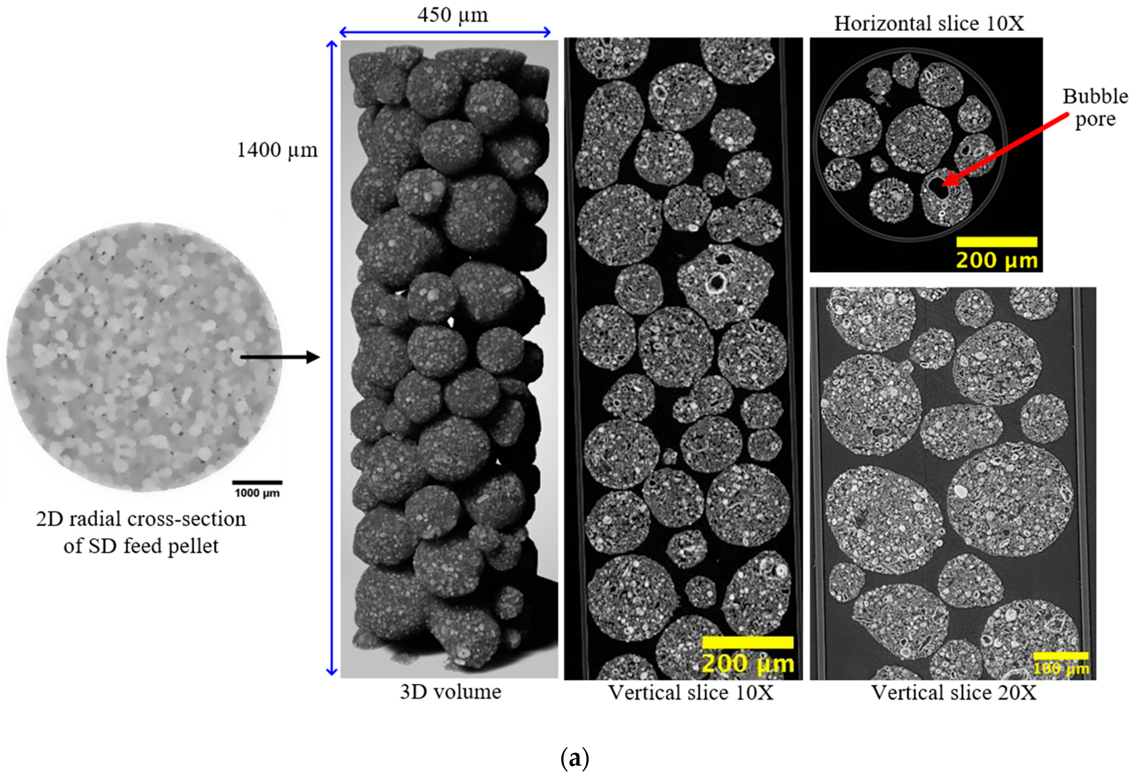 Foundations 04 00015 g007a